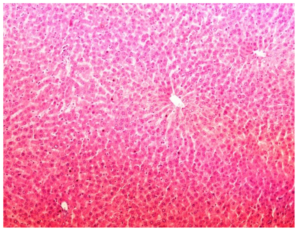 Antioxidants 03 00798 g002 1024