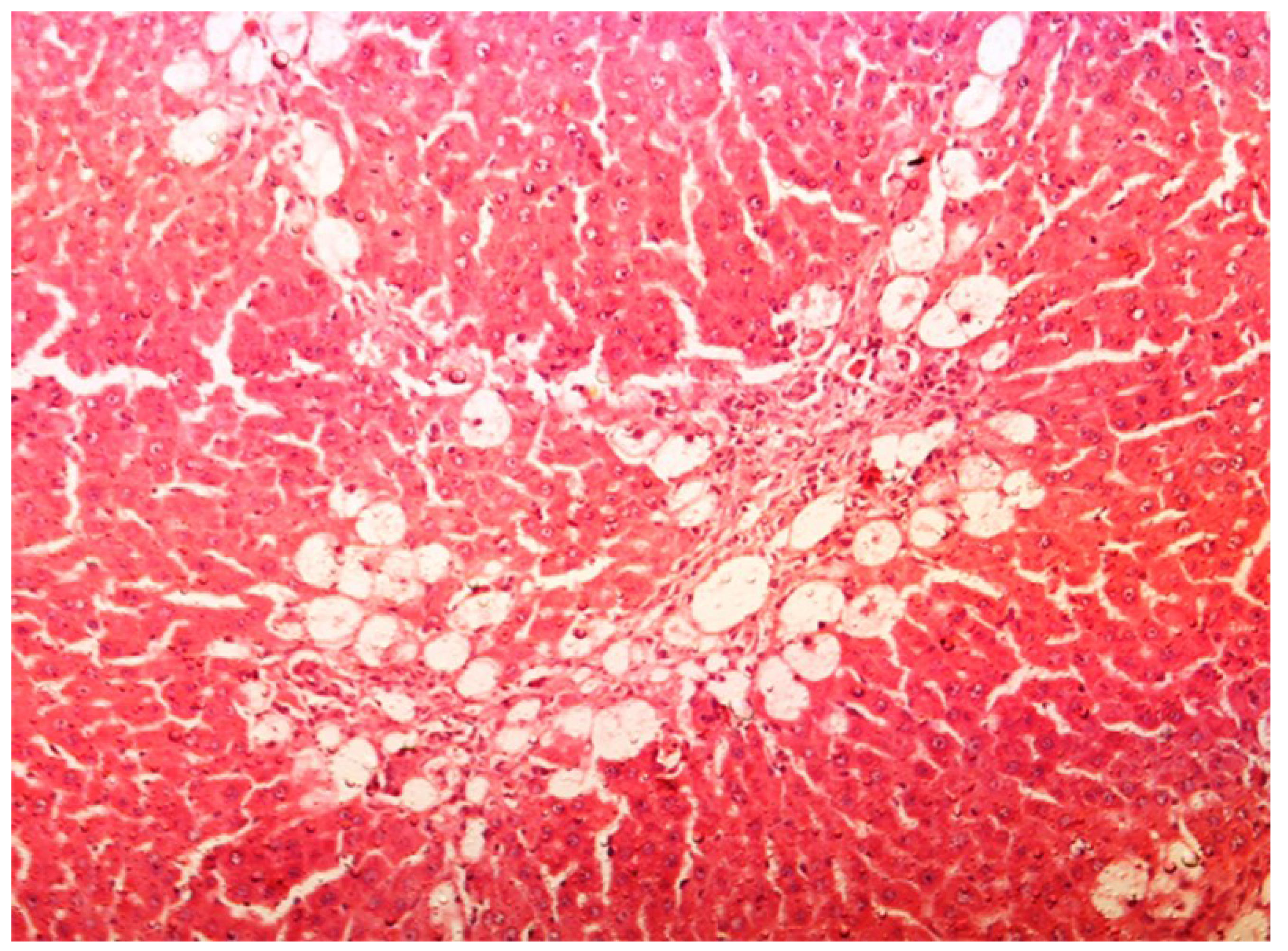 Antioxidants 03 00798 g003