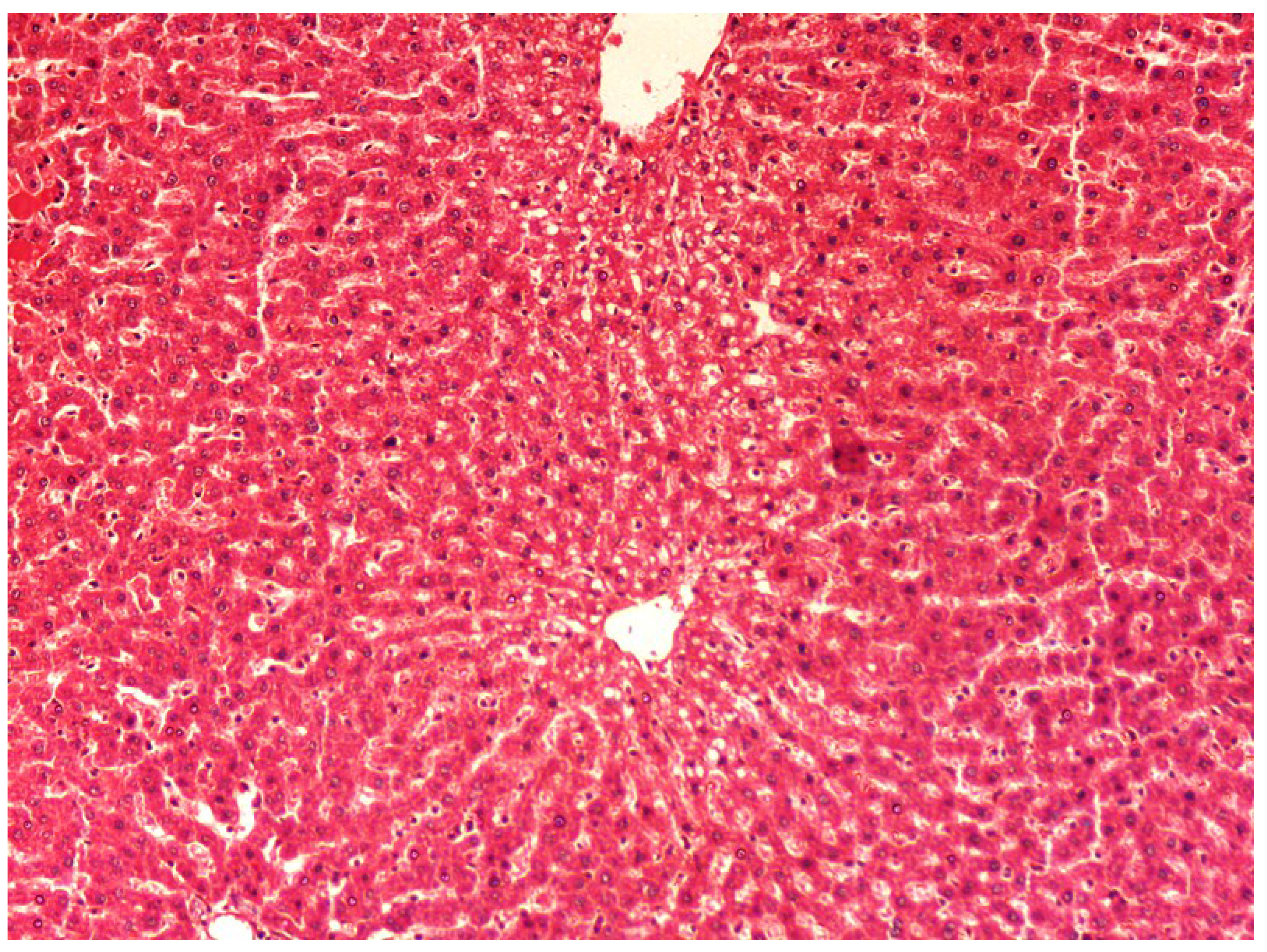 Antioxidants 03 00798 g004