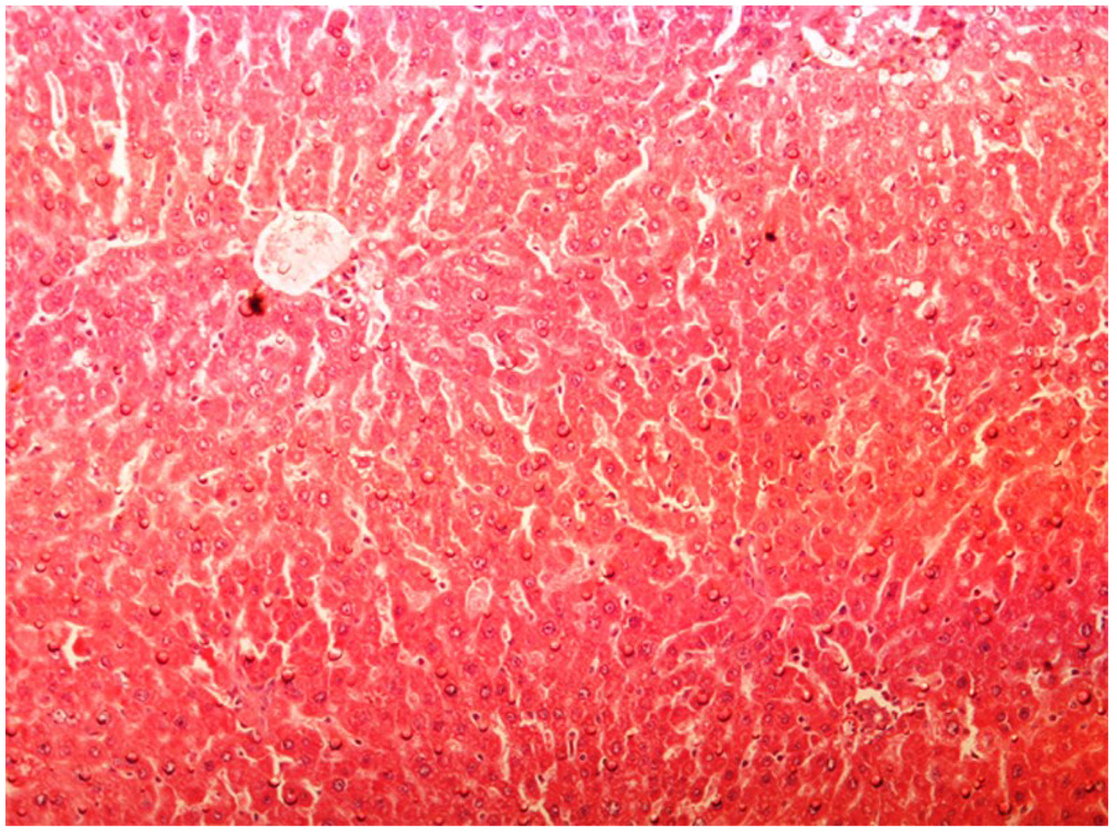 Antioxidants 03 00798 g005 1024