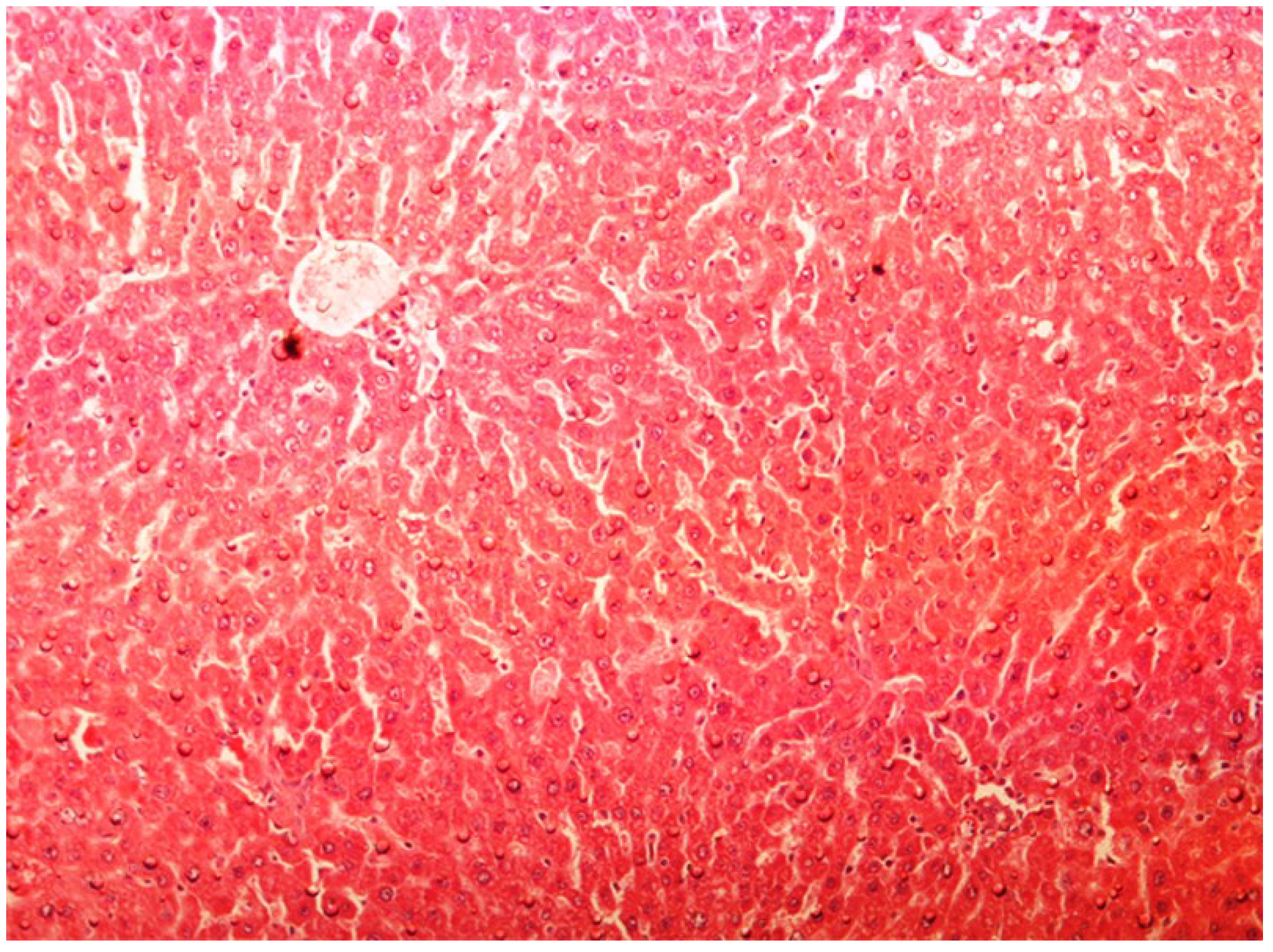 Antioxidants 03 00798 g005