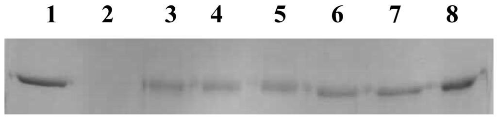 Antioxidants 04 00185 g004 1024