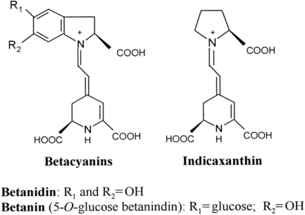 Antioxidants 04 00269 g001 1024