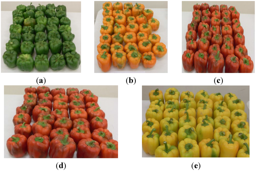 Antioxidants 04 00427 g006 1024