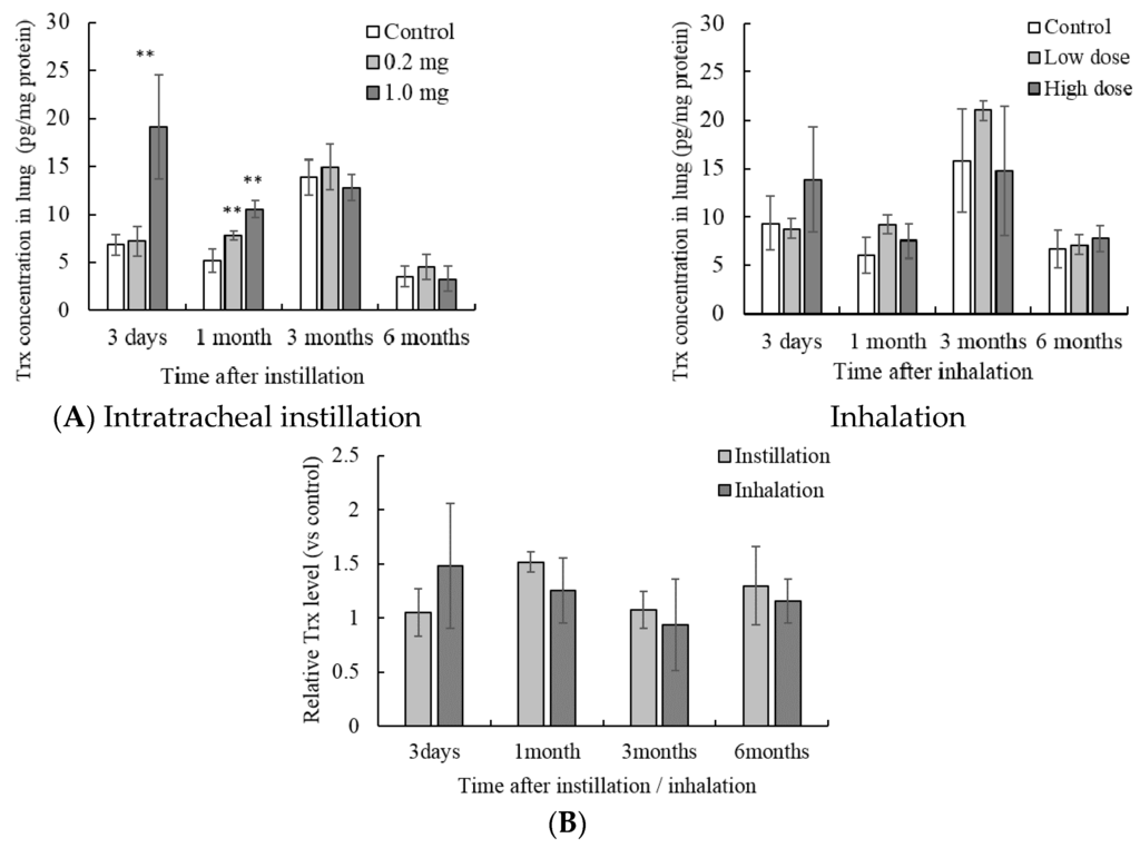 Antioxidants 05 00004 g004 1024