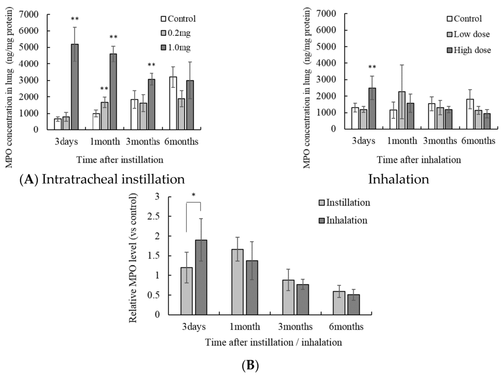 Antioxidants 05 00004 g006 1024