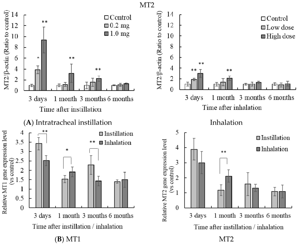 Antioxidants 05 00004 g007b 1024