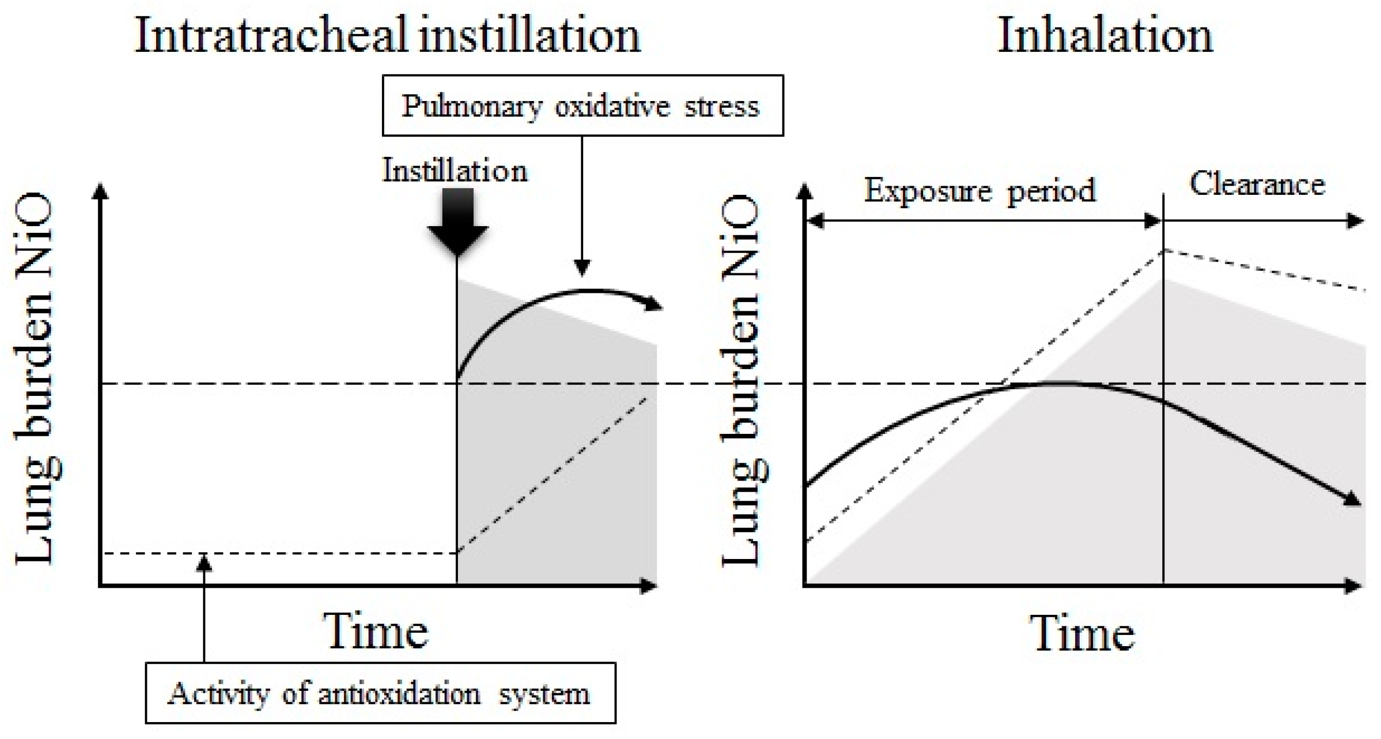 Antioxidants 05 00004 g008