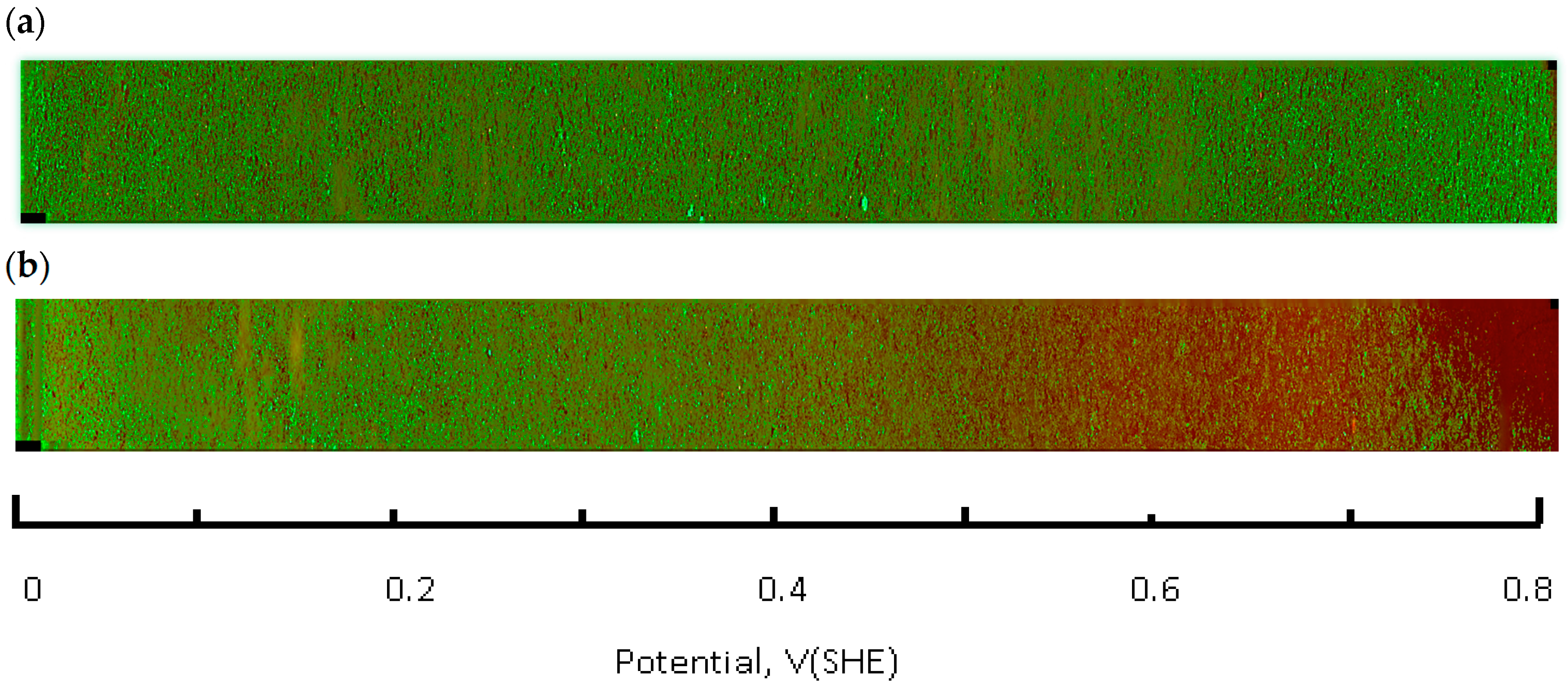 Antioxidants 05 00023 g004a