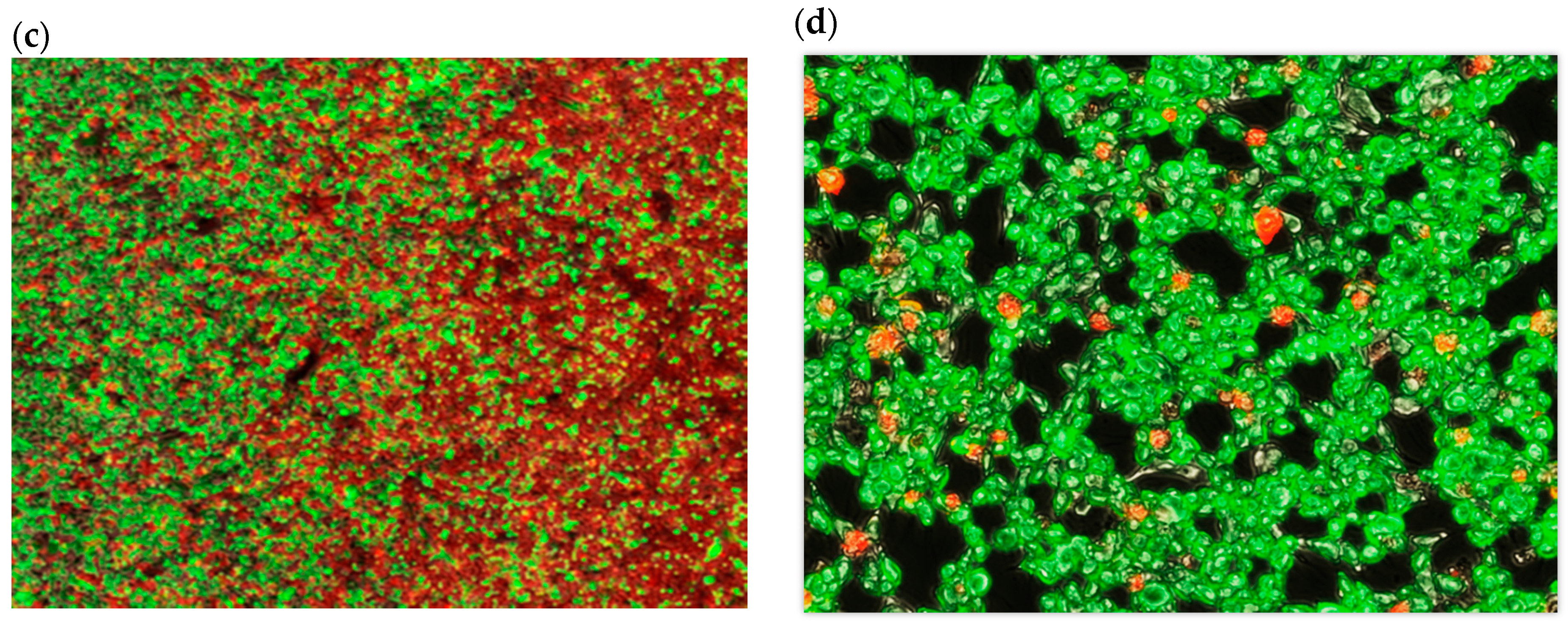Antioxidants 05 00023 g004b
