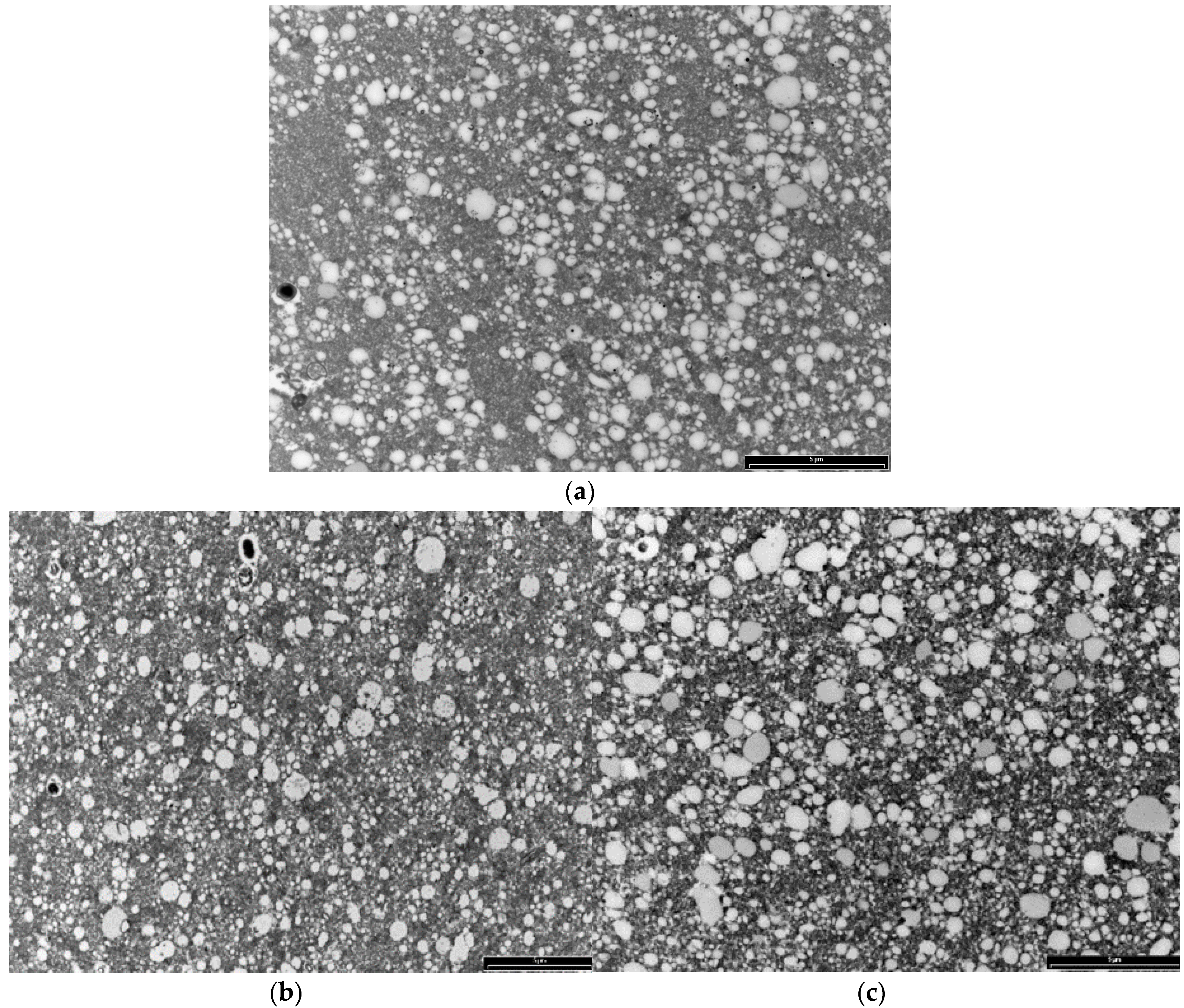 Antioxidants 05 00029 g005