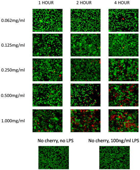 Antioxidants 05 00033 g005 550