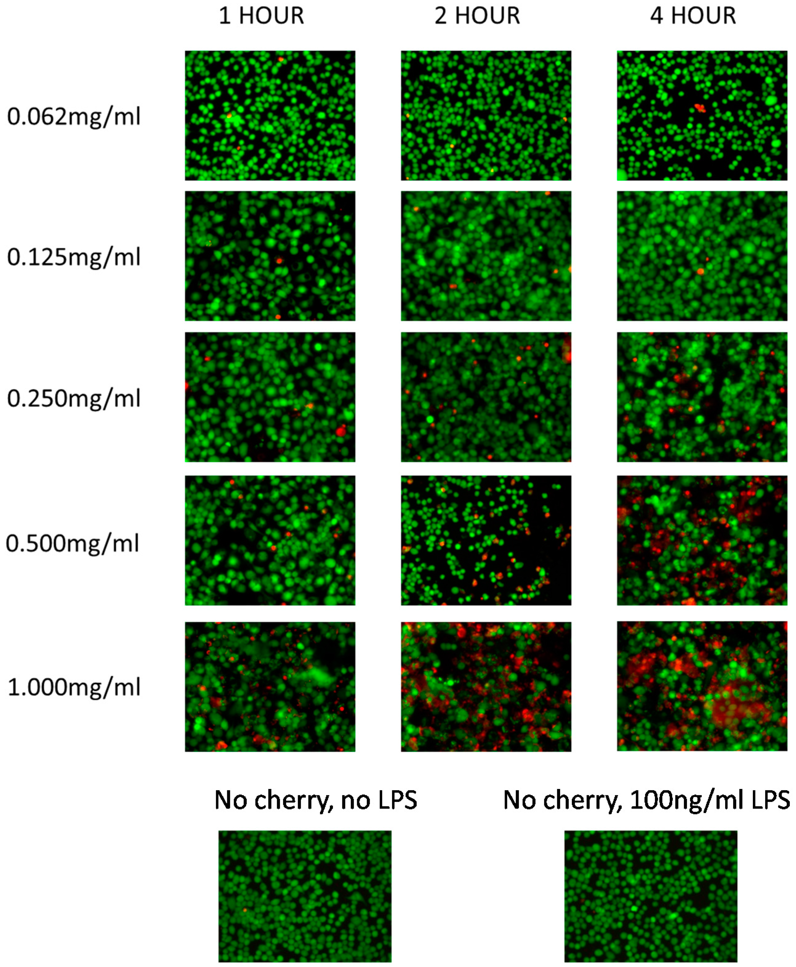 Antioxidants 05 00033 g005