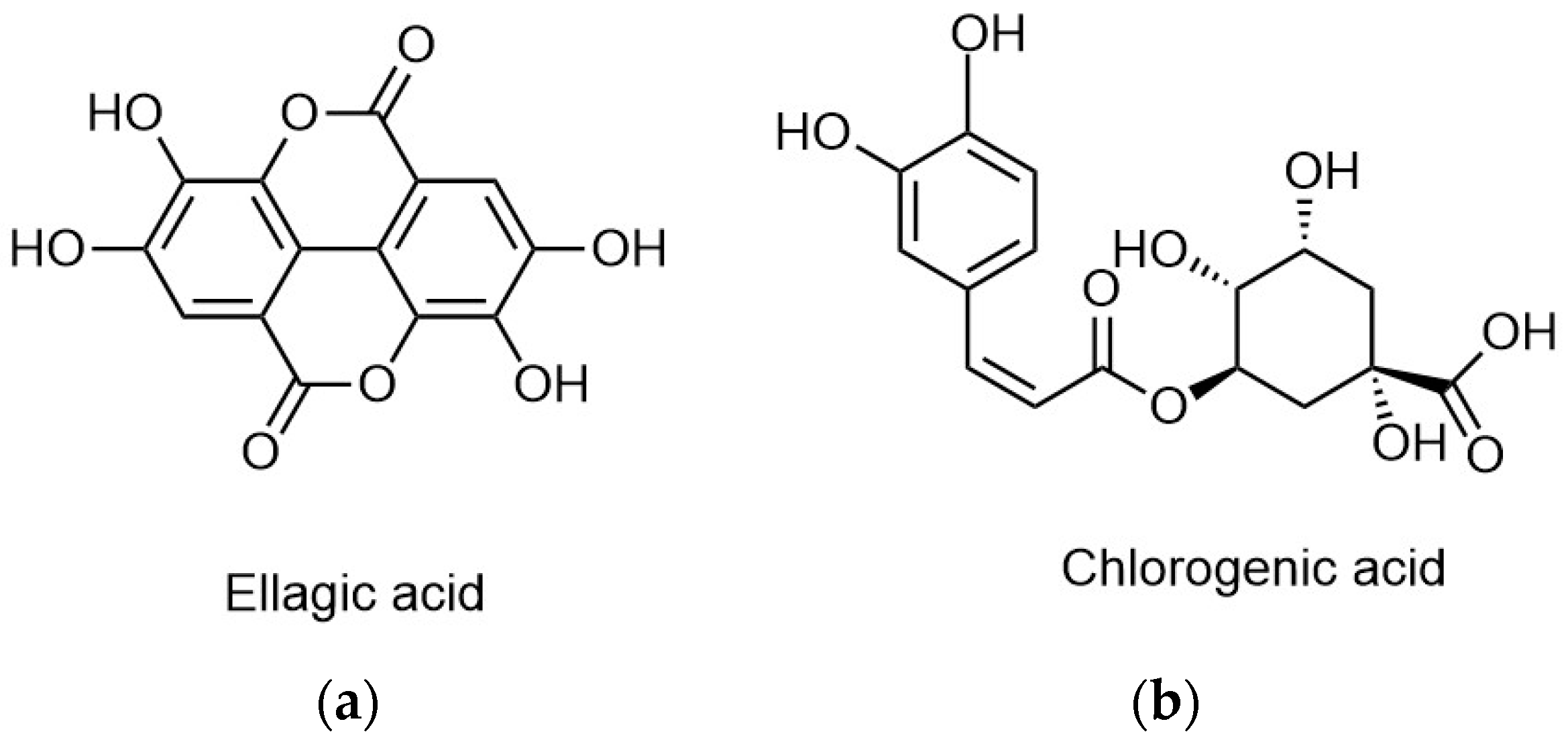 Antioxidants 06 00007 g002