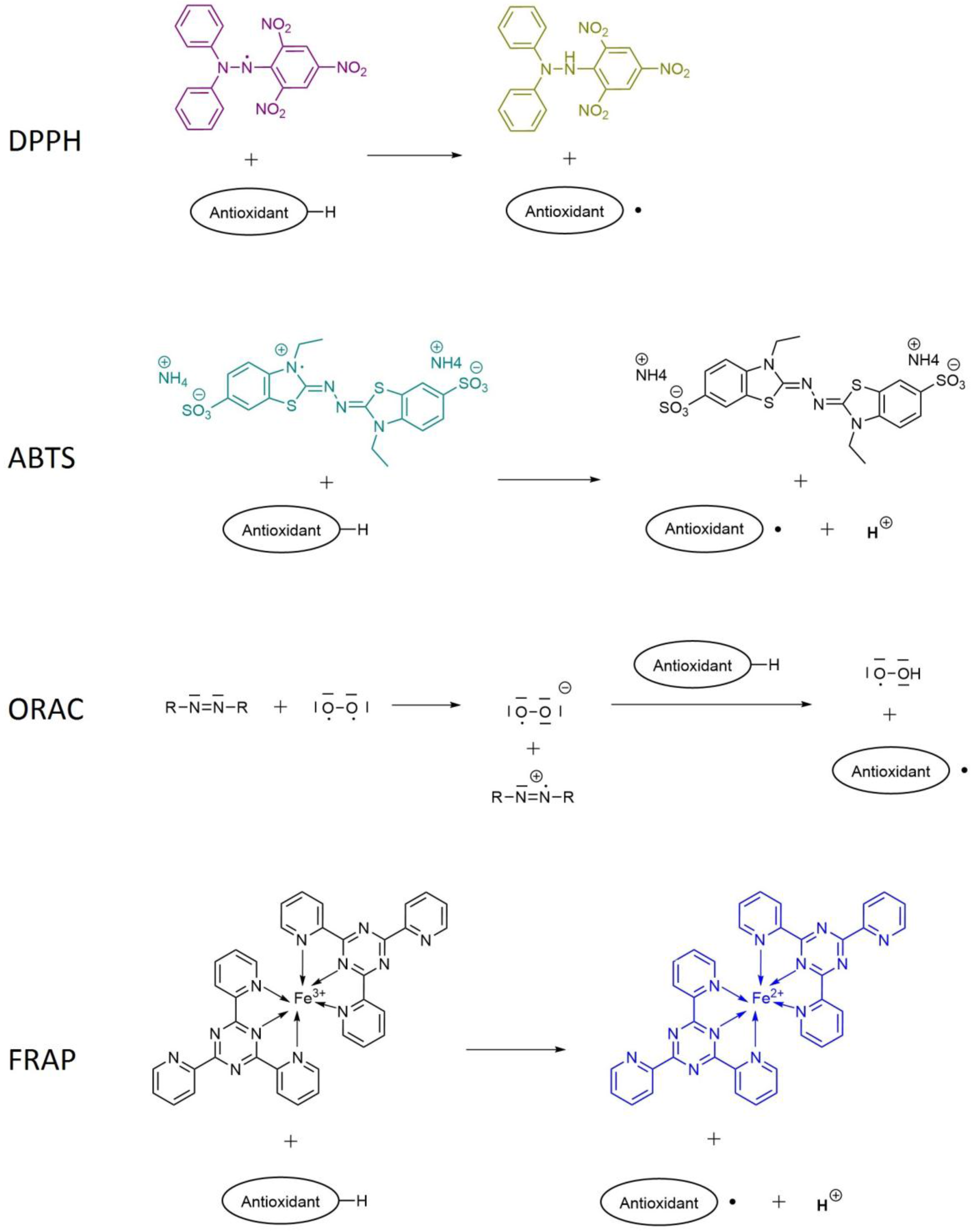 Antioxidants 06 00007 g005
