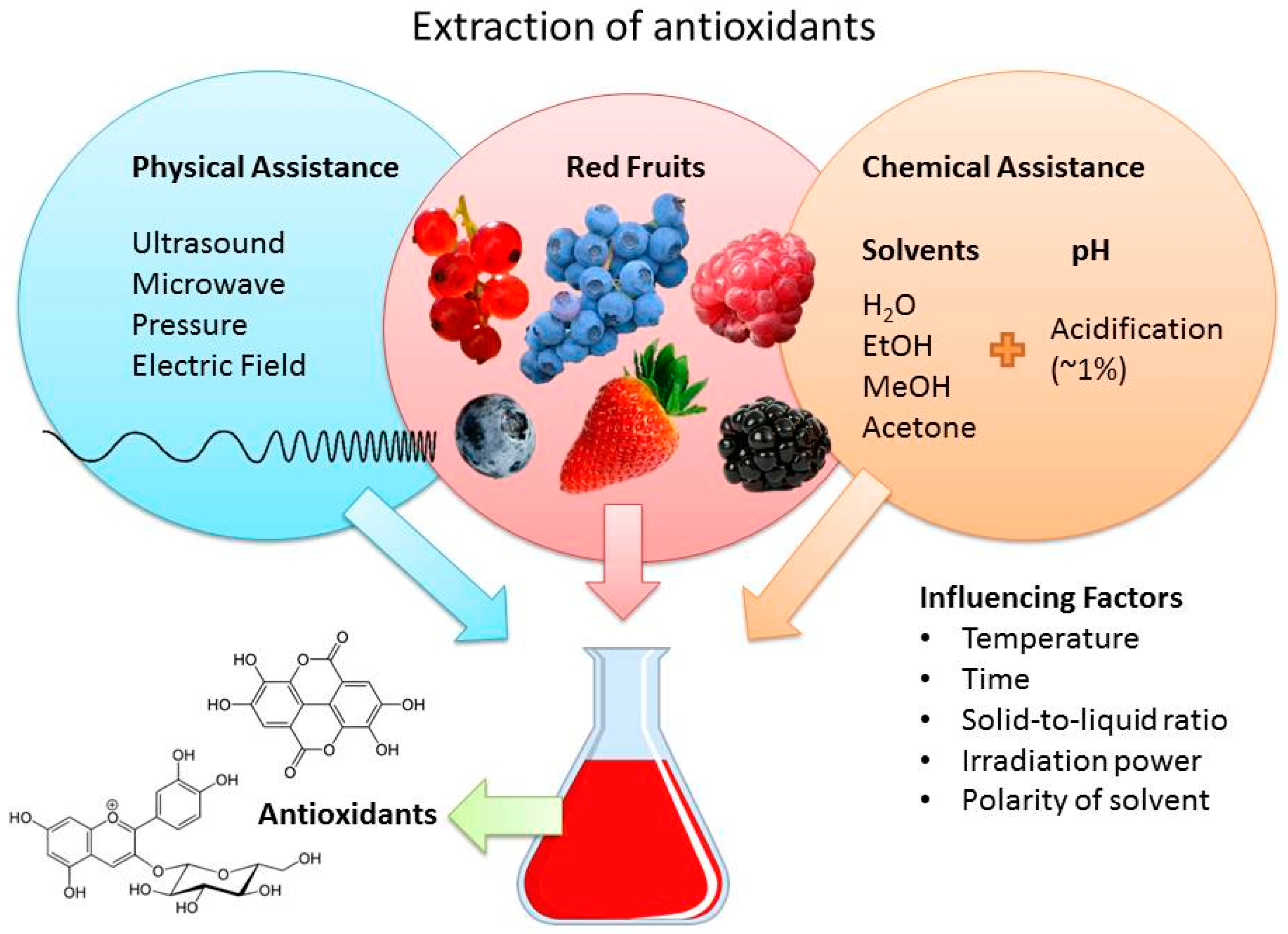 Antioxidants 06 00007 g006