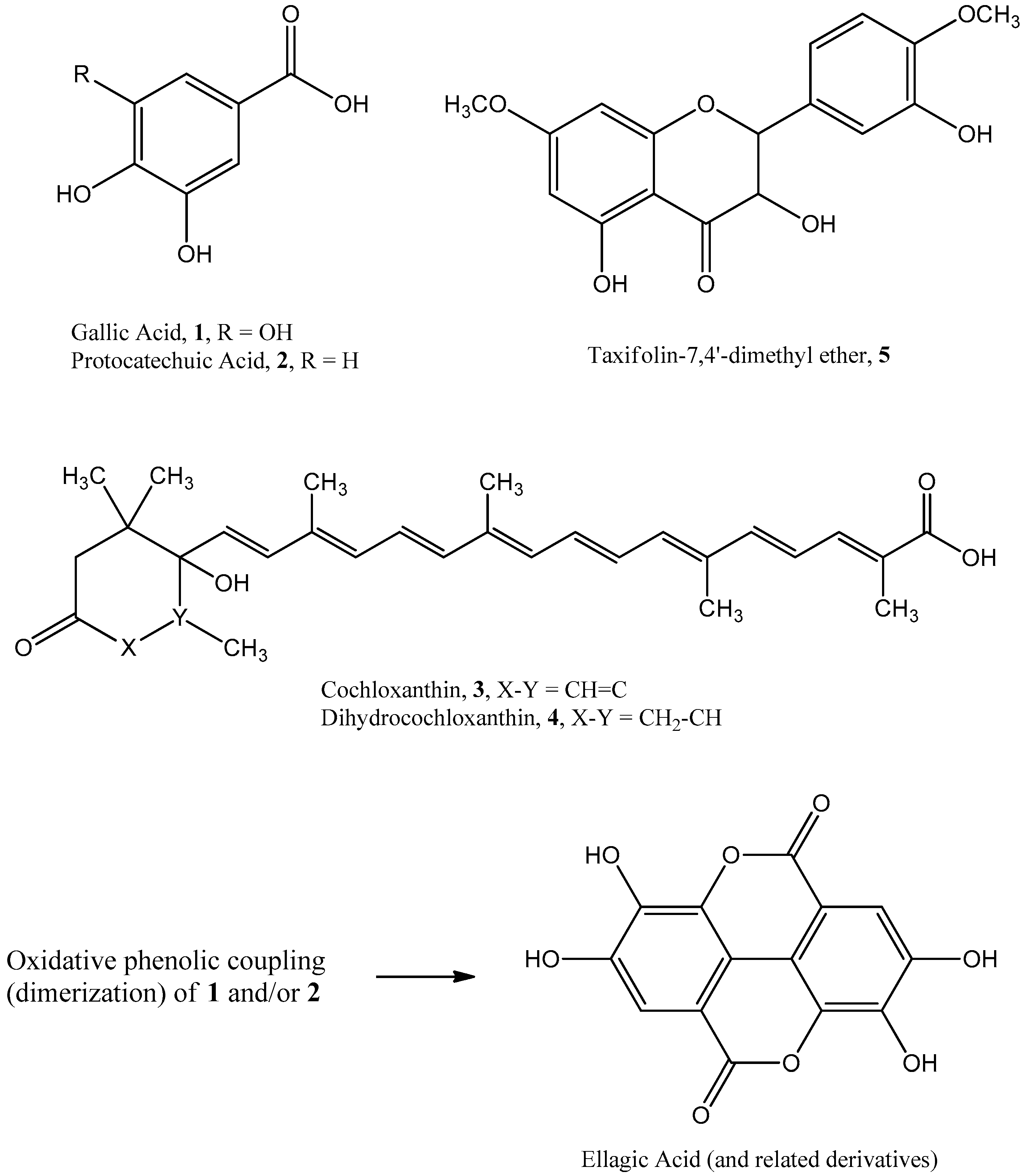 Antioxidants 06 00009 g004