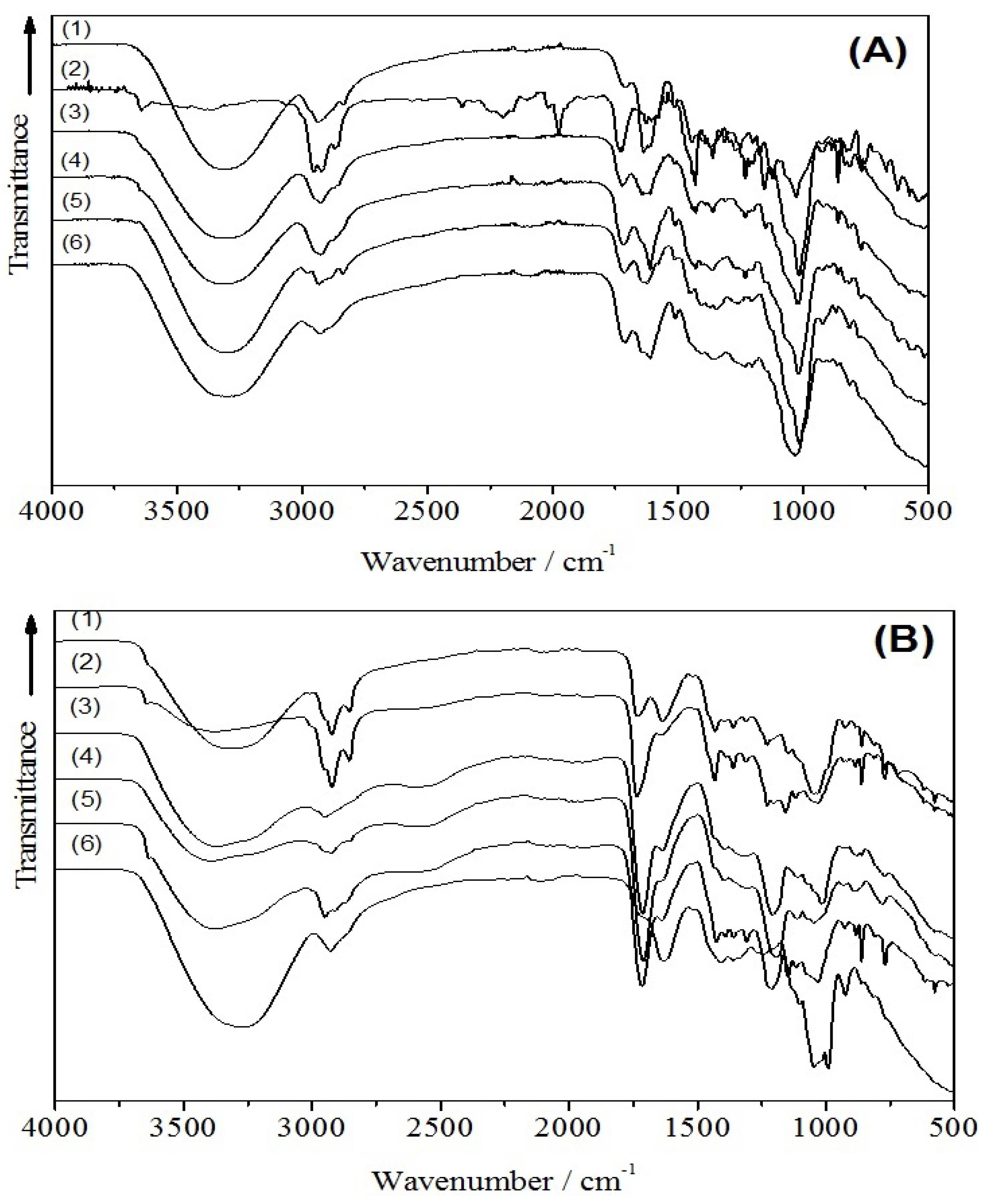 Antioxidants 06 00011 g003