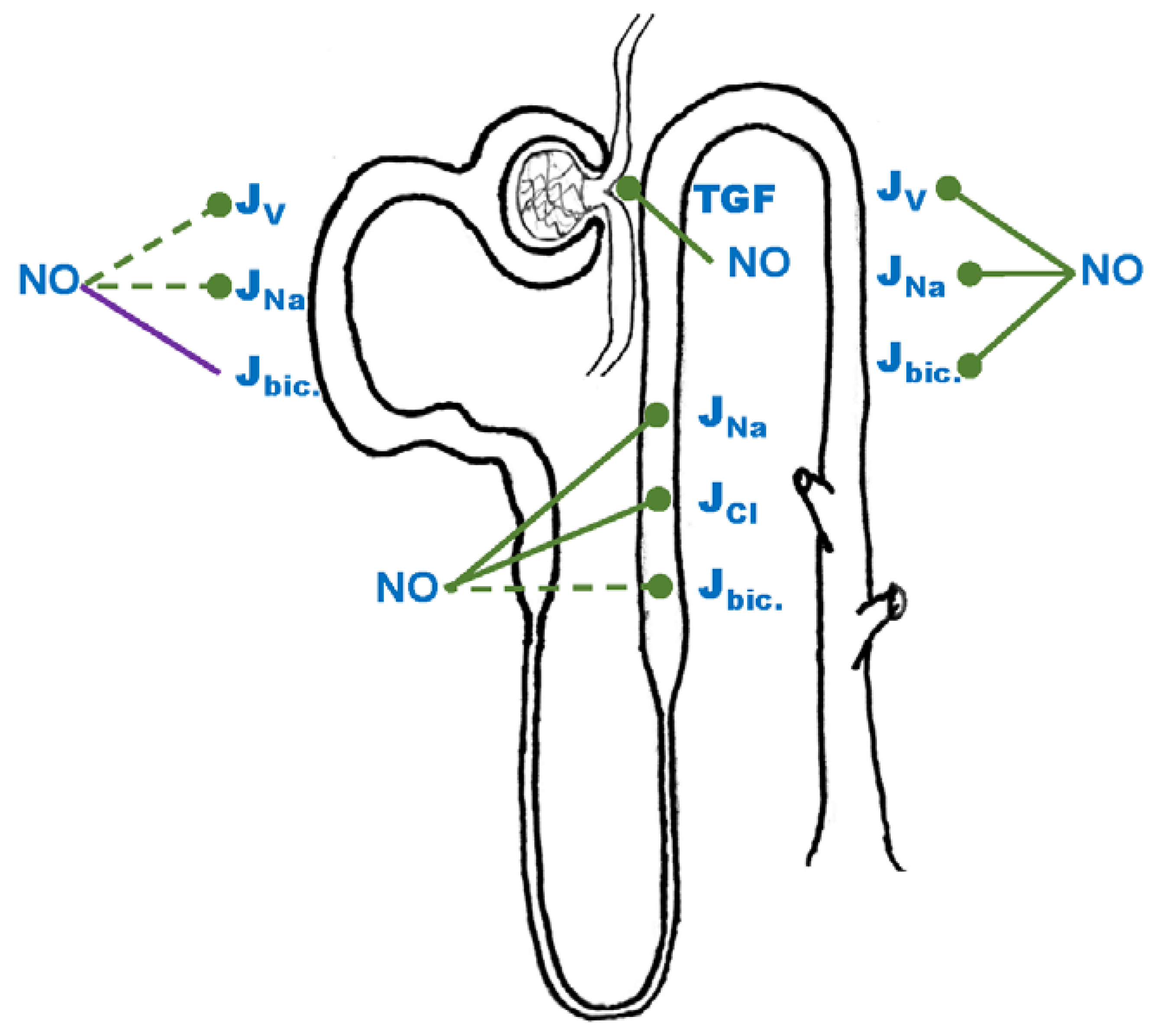 Antioxidants 06 00023 g001