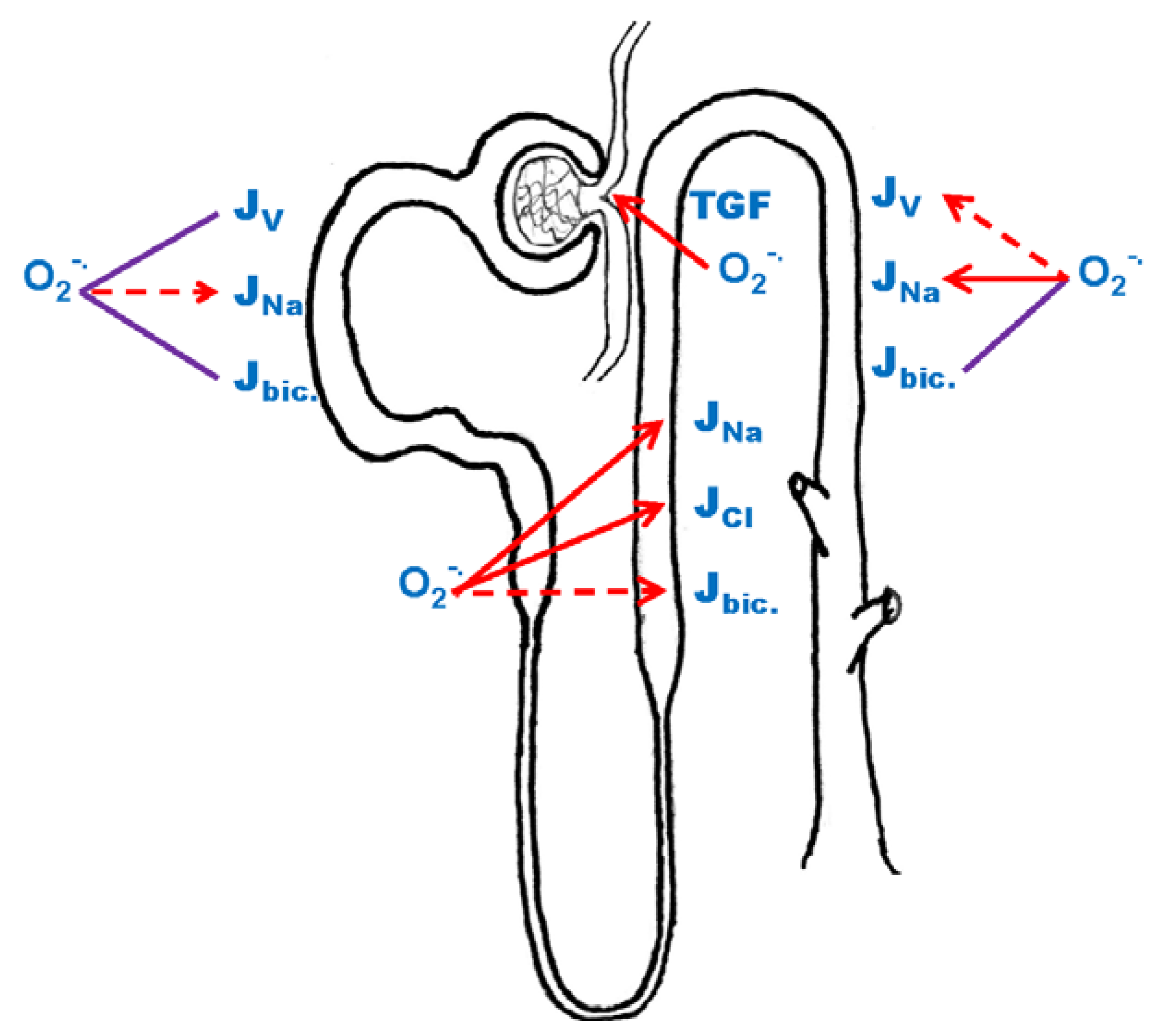 Antioxidants 06 00023 g002