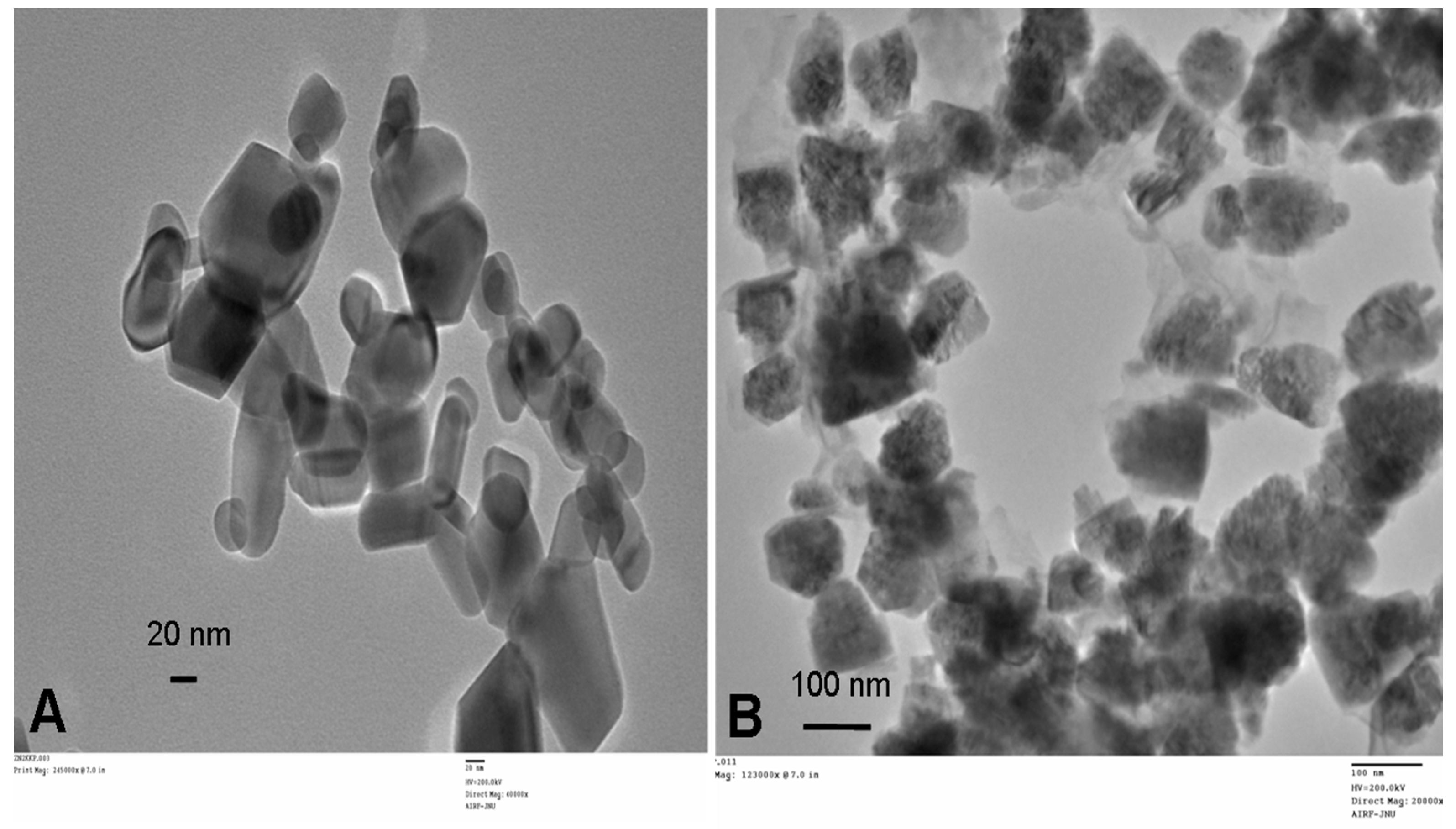 Antioxidants 06 00035 g003