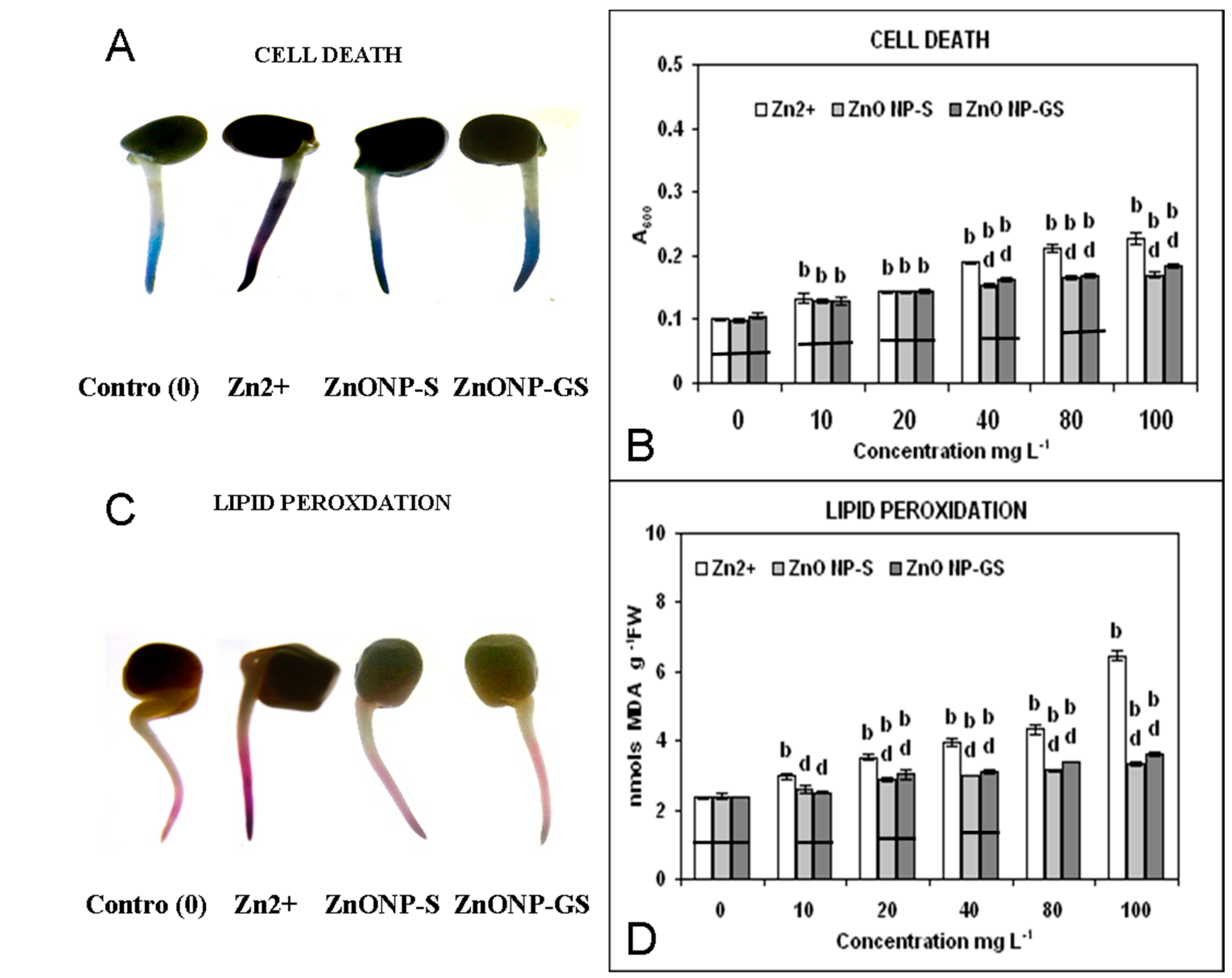 Antioxidants 06 00035 g007