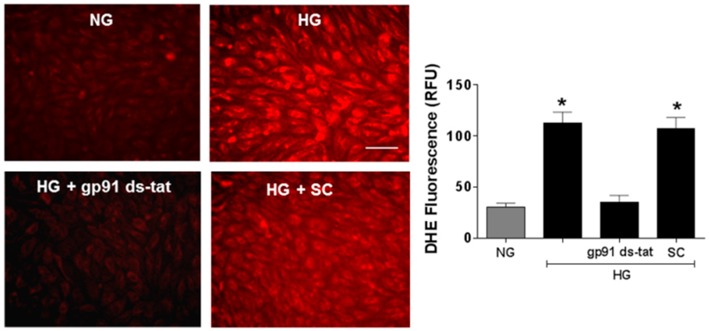 Antioxidants 06 00043 g005
