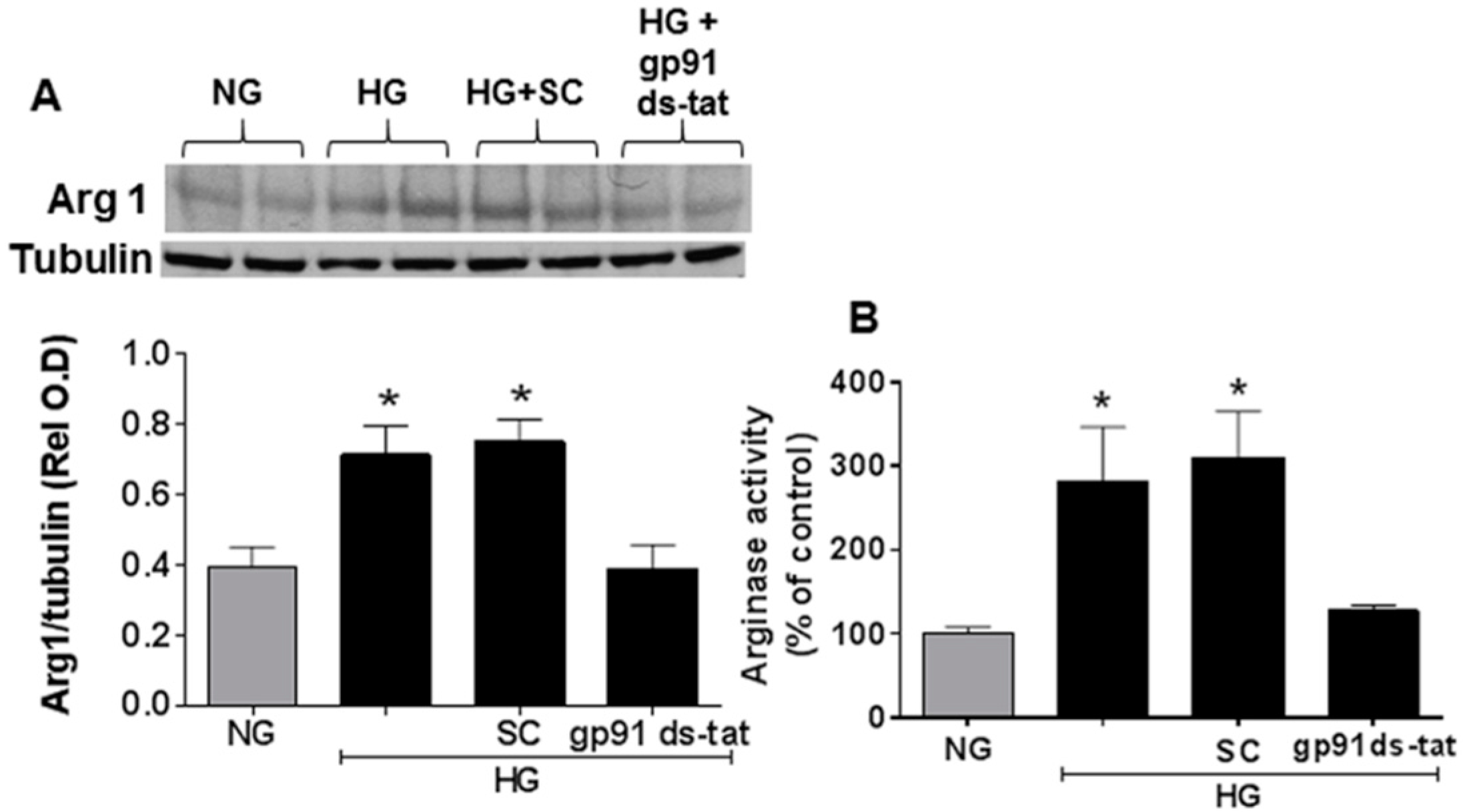 Antioxidants 06 00043 g006