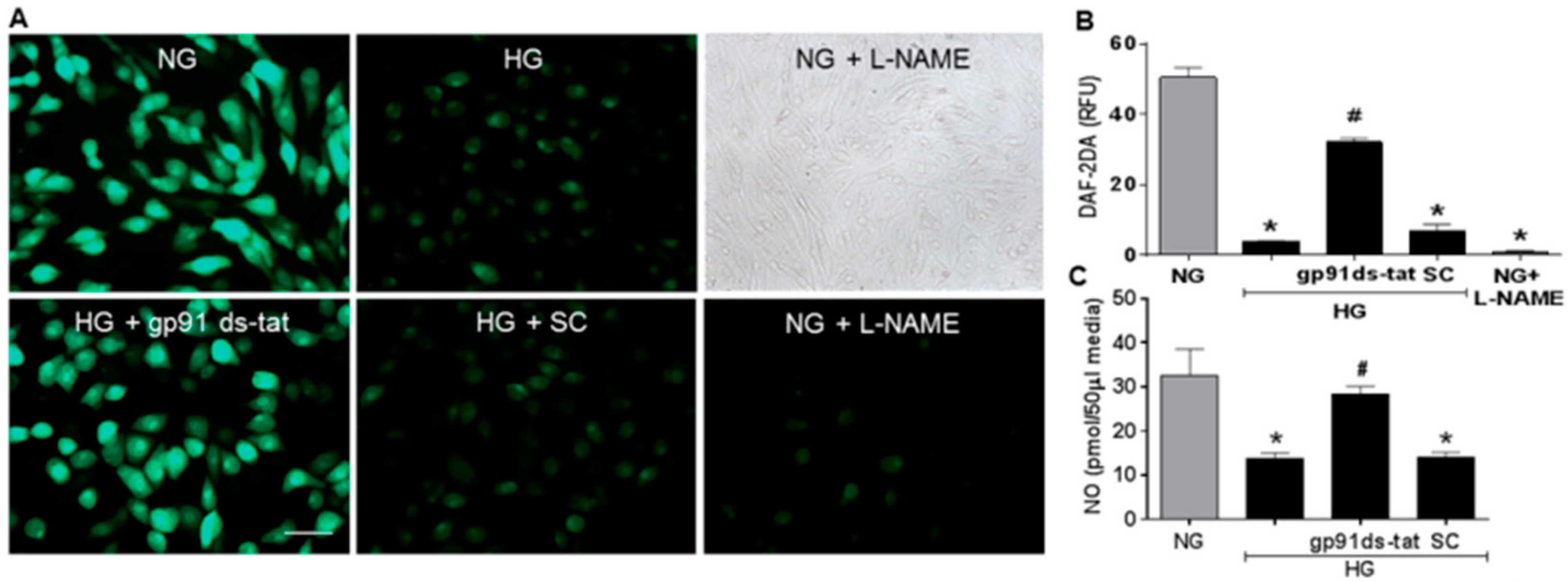 Antioxidants 06 00043 g007