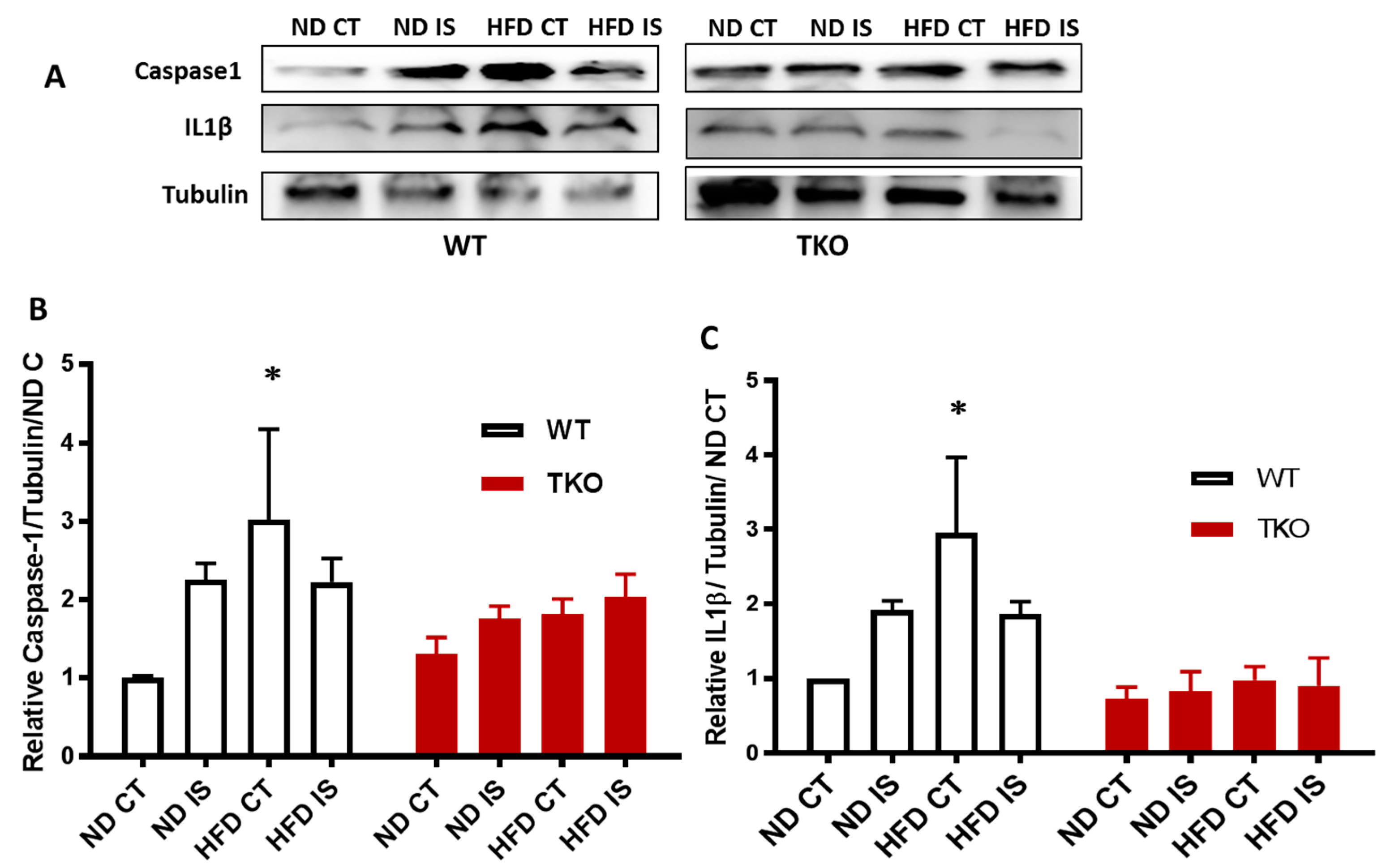 Antioxidants 06 00047 g007