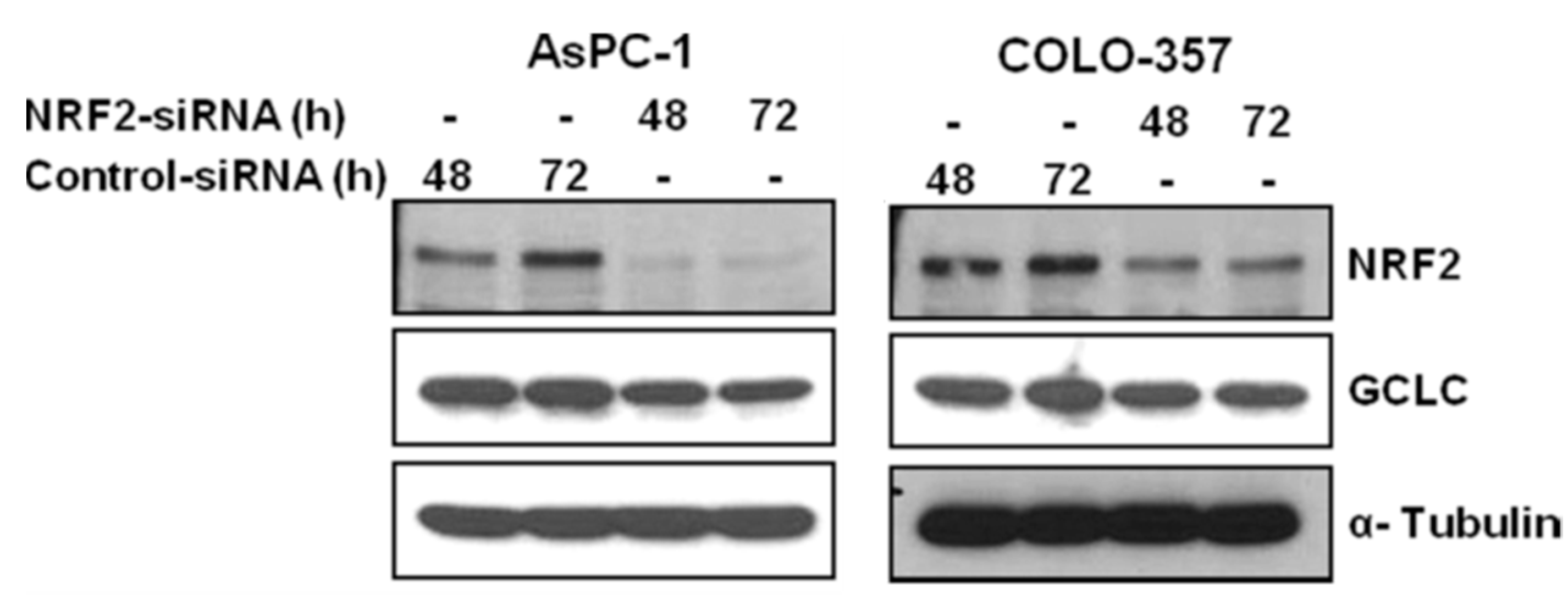 Antioxidants 06 00052 g002