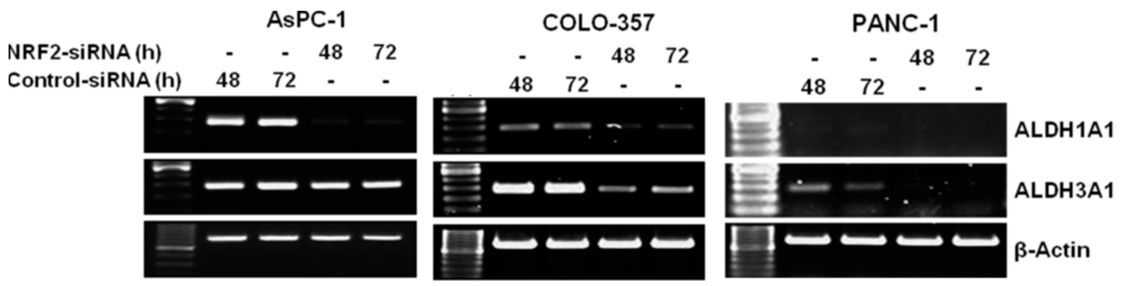 Antioxidants 06 00052 g003