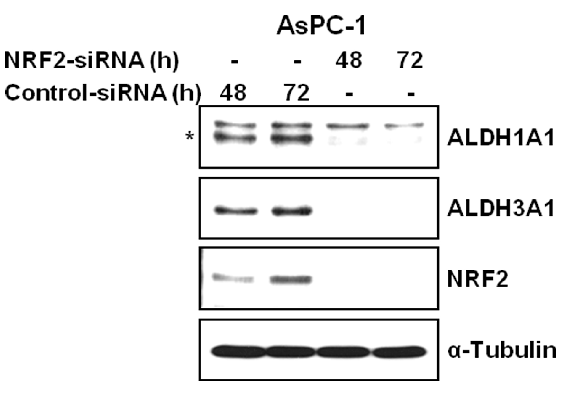 Antioxidants 06 00052 g004