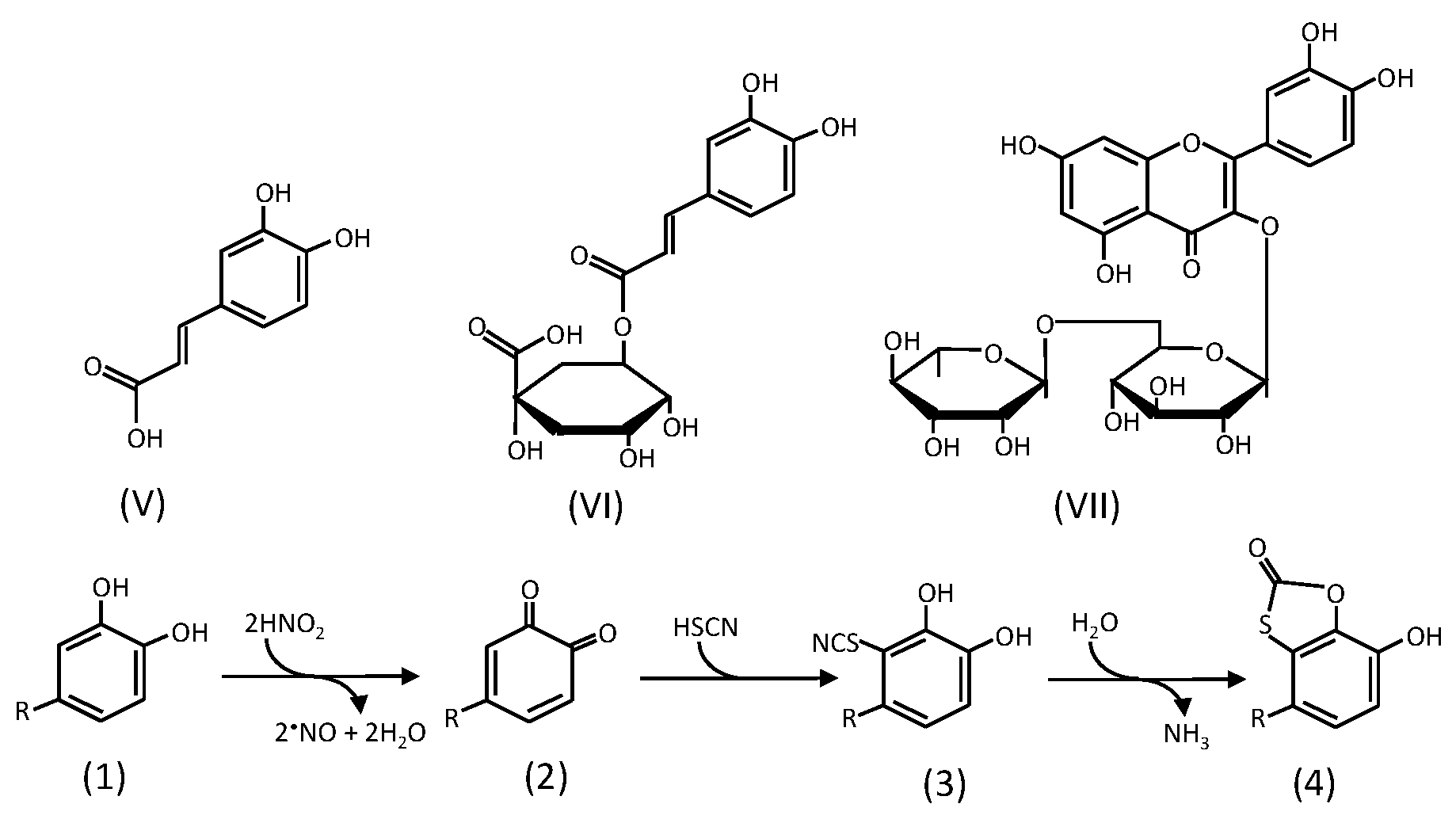 Antioxidants 06 00053 g002