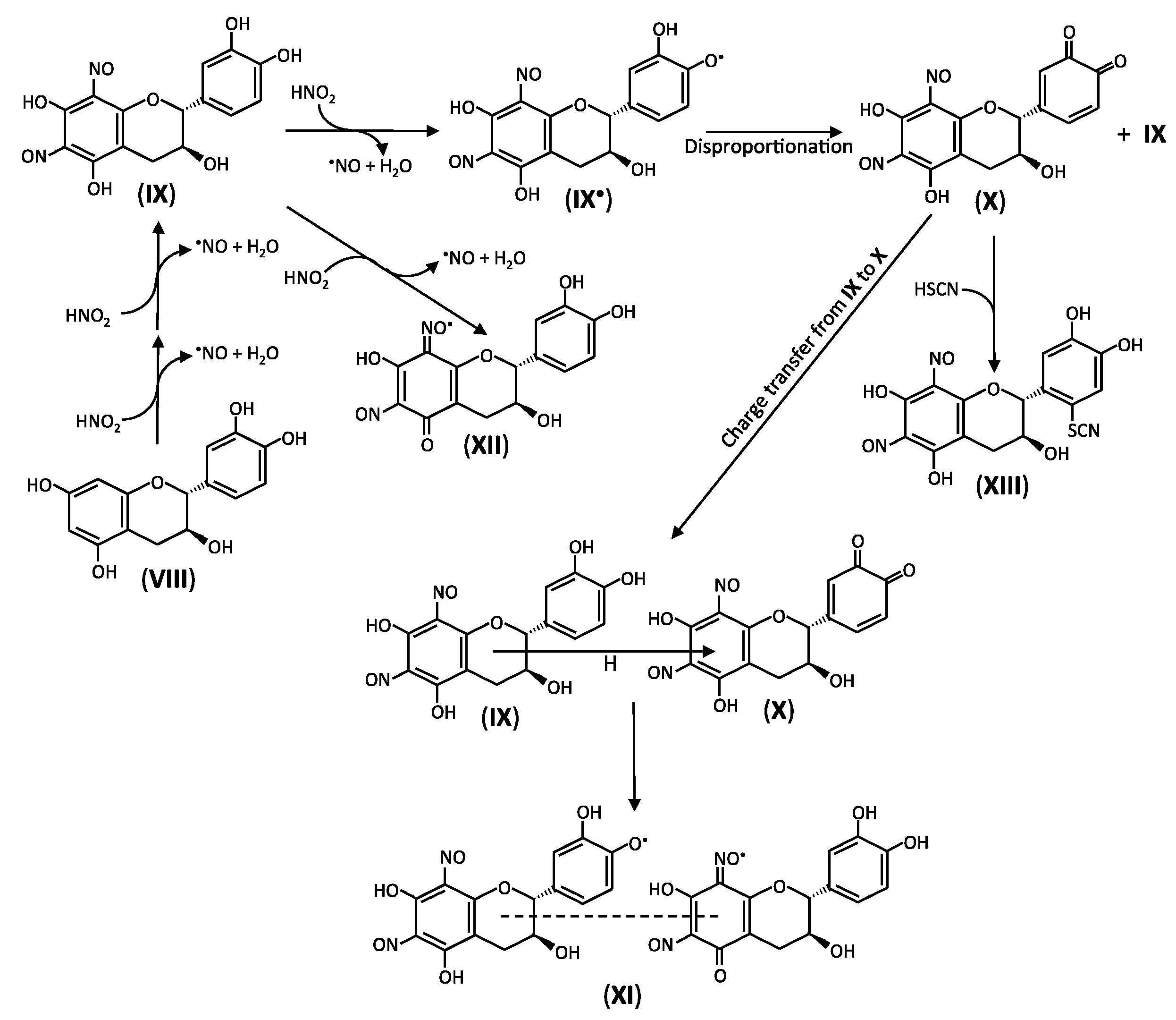 Antioxidants 06 00053 g003
