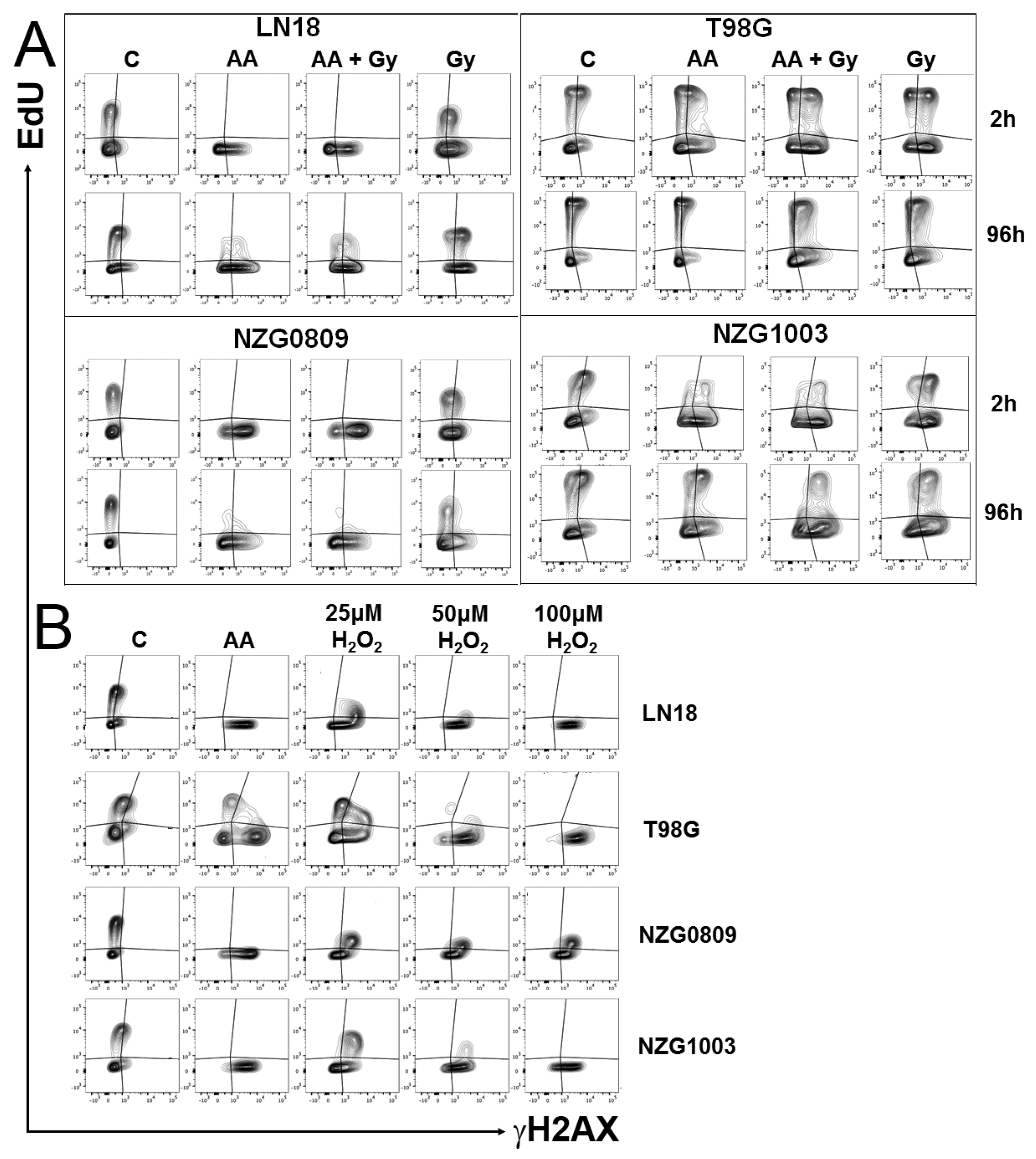 Antioxidants 06 00058 g004