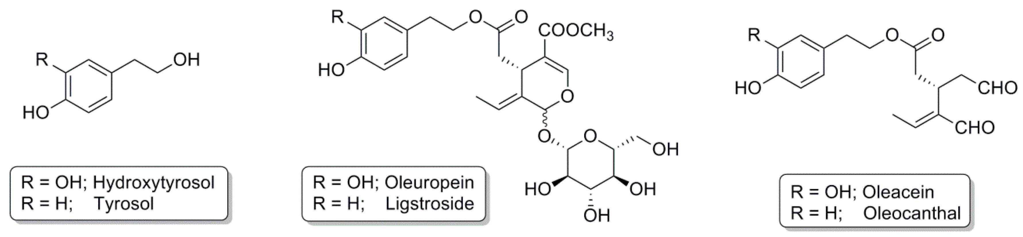 Antioxidants 06 00073 g001