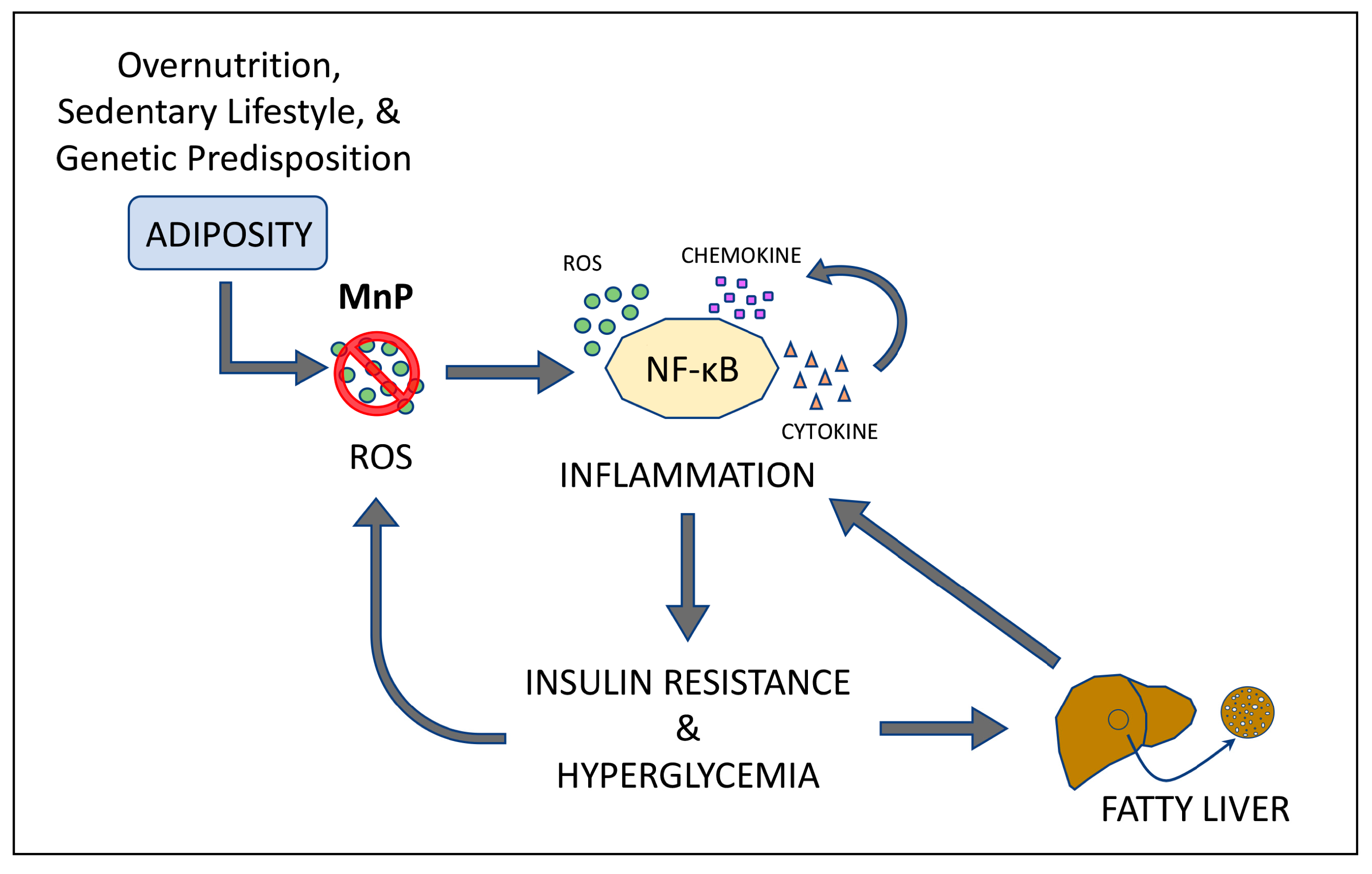 Antioxidants 06 00085 g009