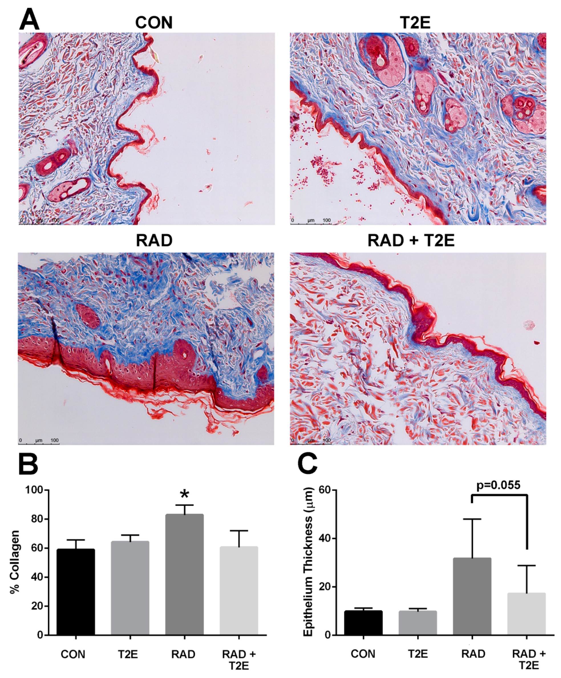 Antioxidants 06 00087 g008