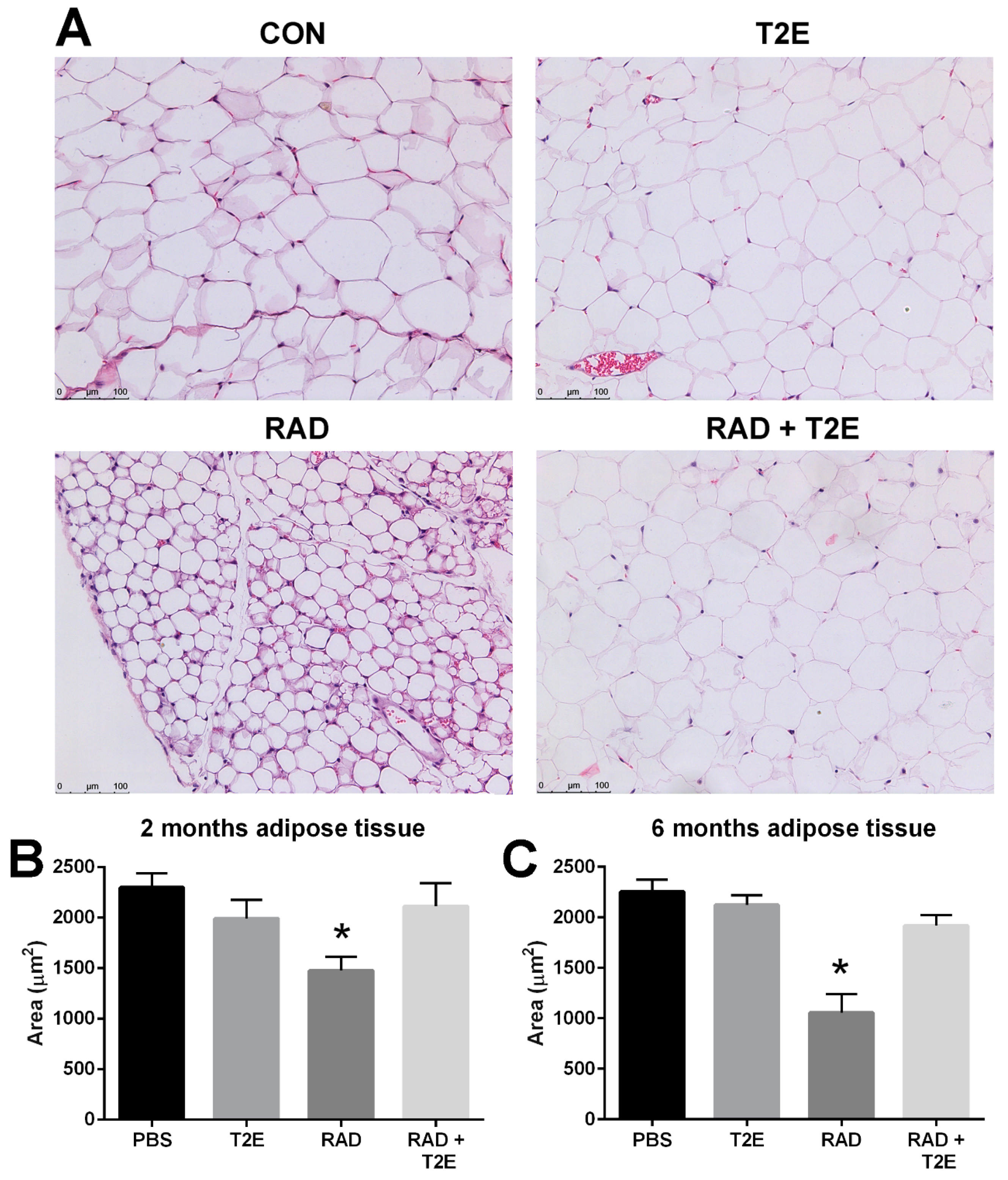 Antioxidants 06 00087 g009