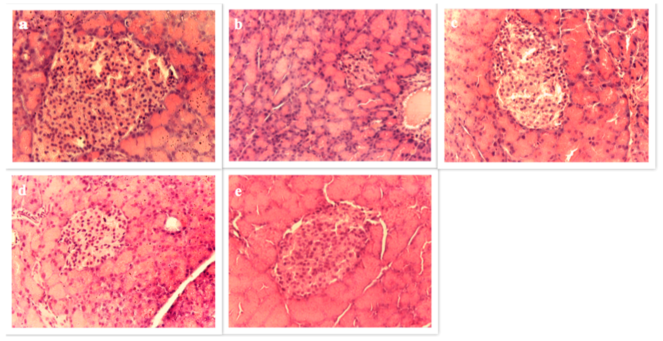 Antioxidants 06 00102 g004