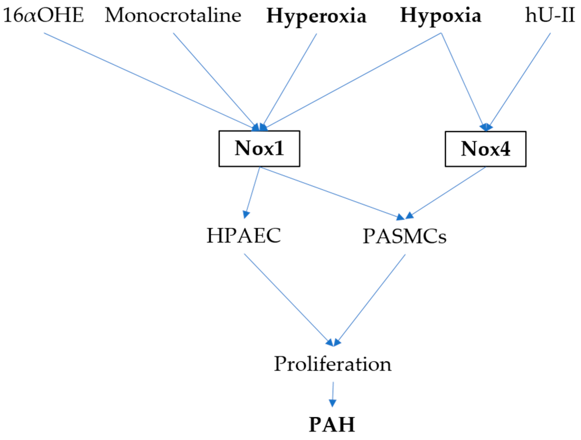 Antioxidants 06 00104 g001