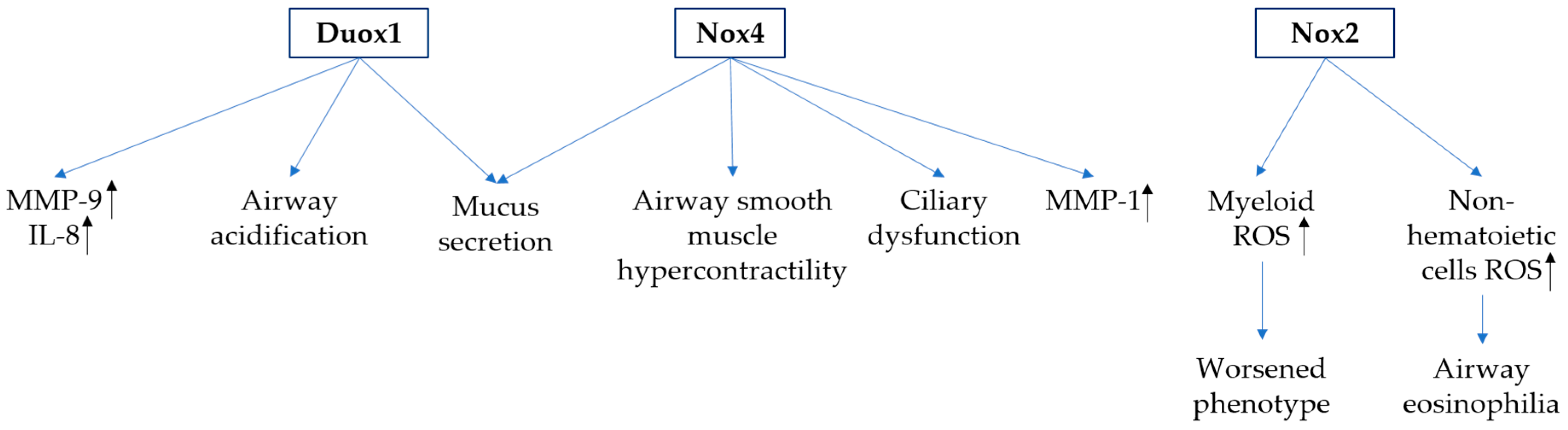 Antioxidants 06 00104 g002