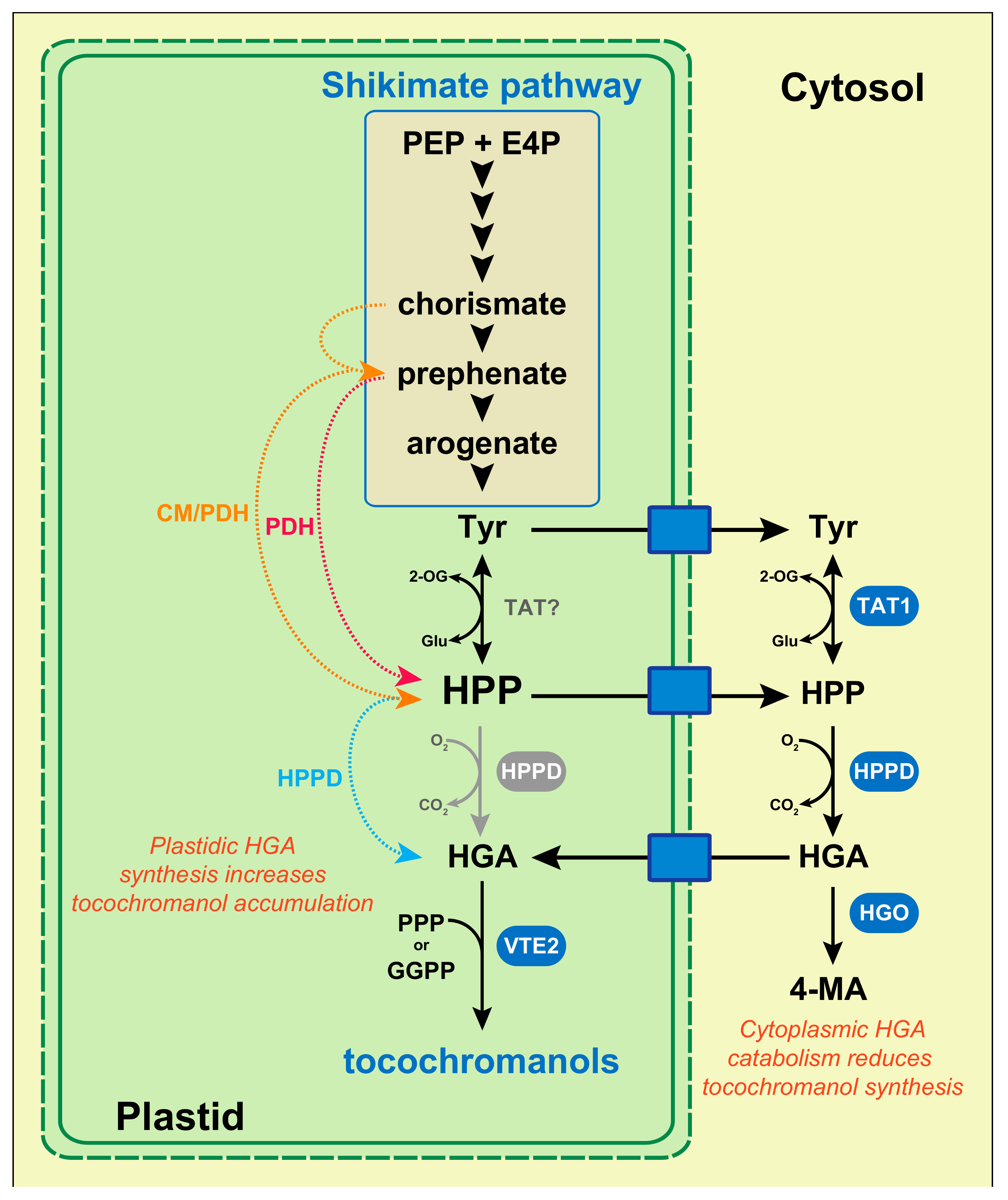 Antioxidants 07 00002 g002