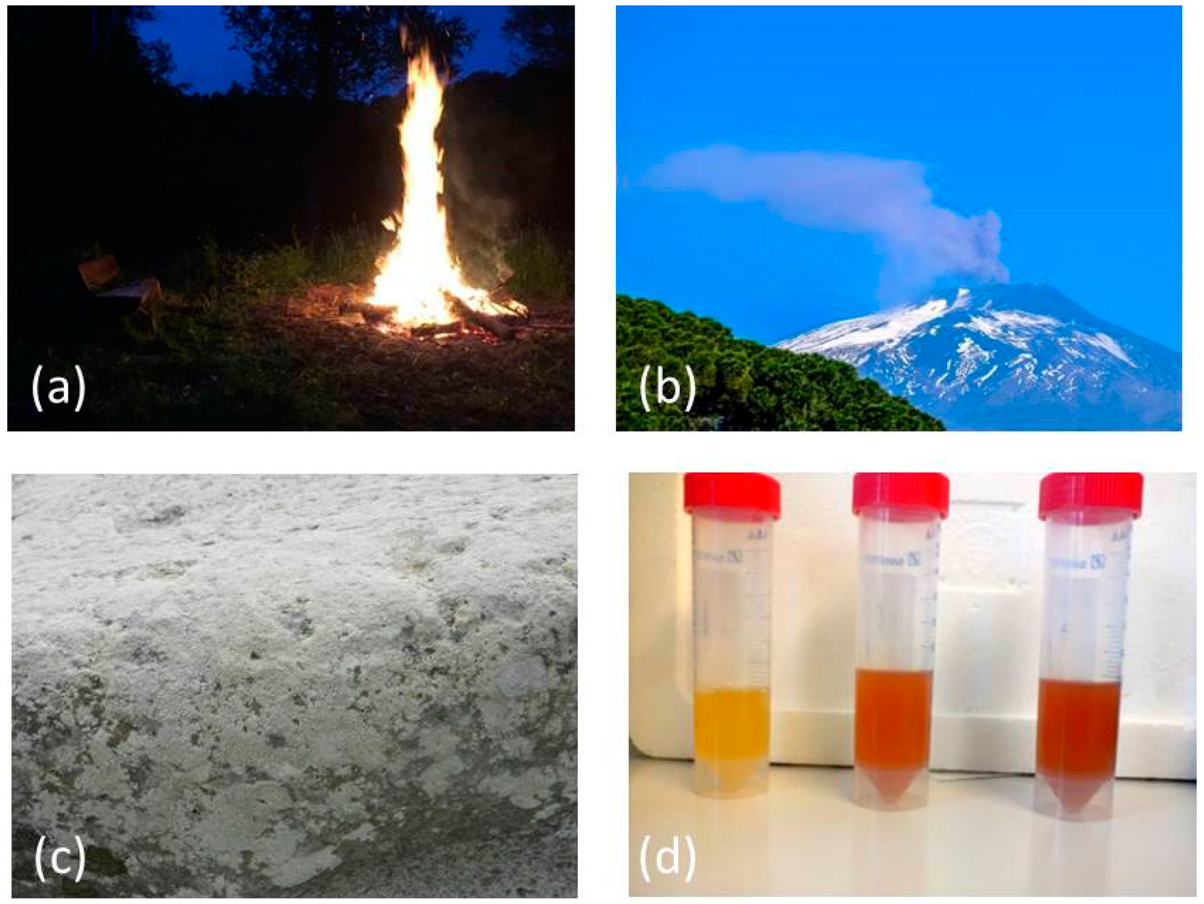 Antioxidants 07 00003 g001