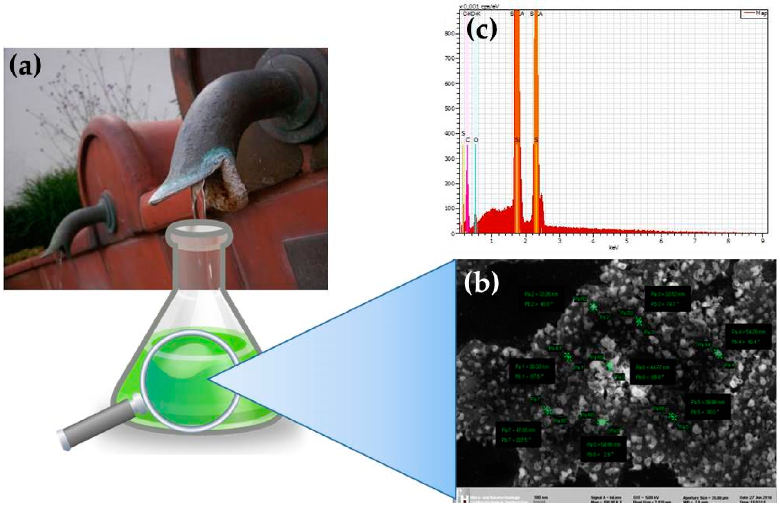 Antioxidants 07 00003 g003