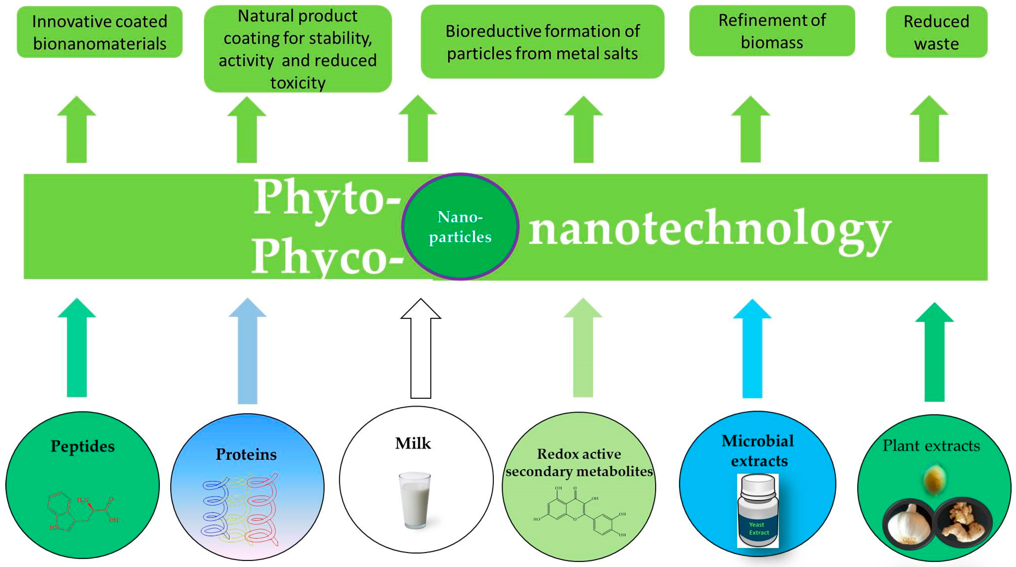 Antioxidants 07 00003 g005