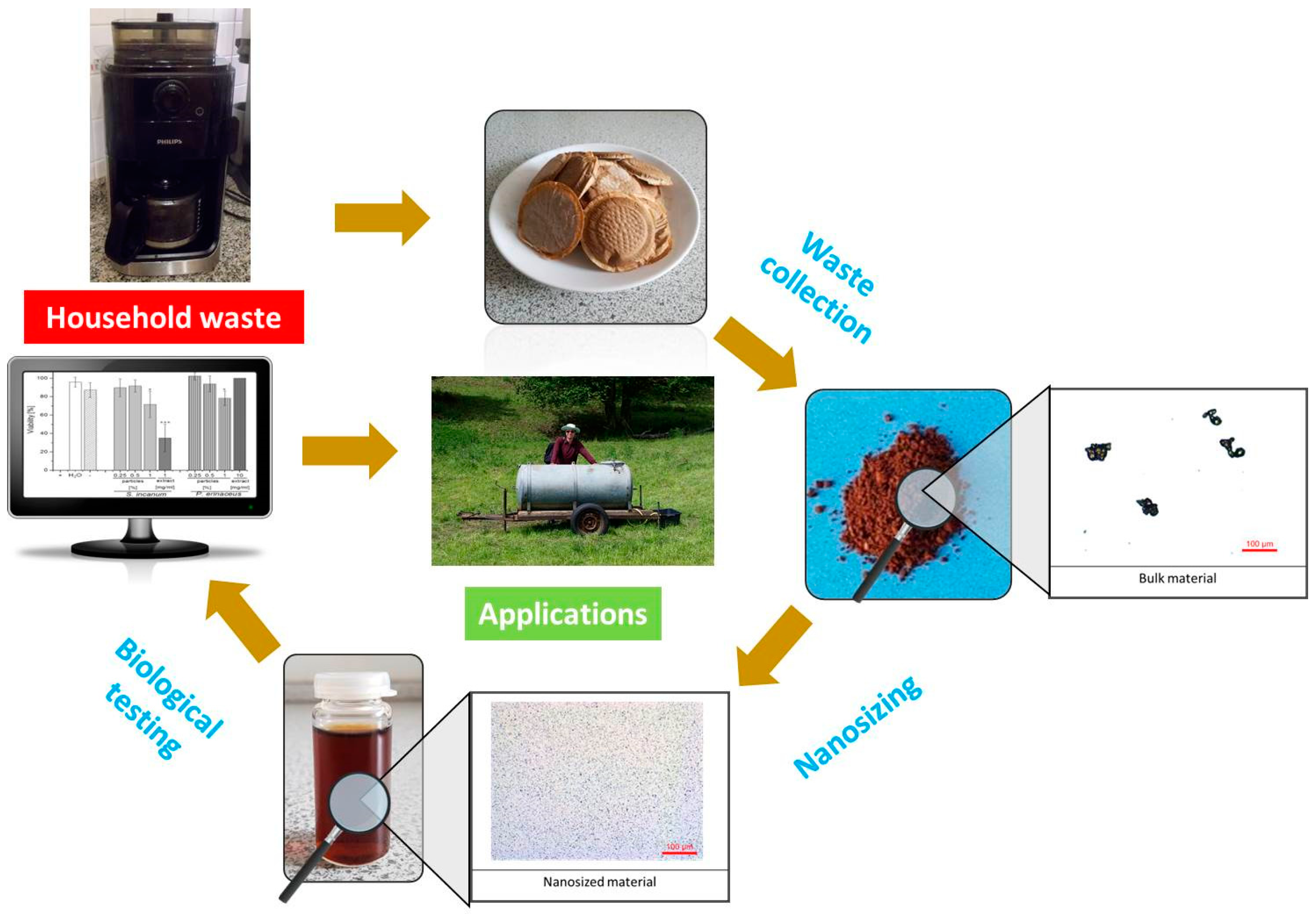 Antioxidants 07 00003 g007
