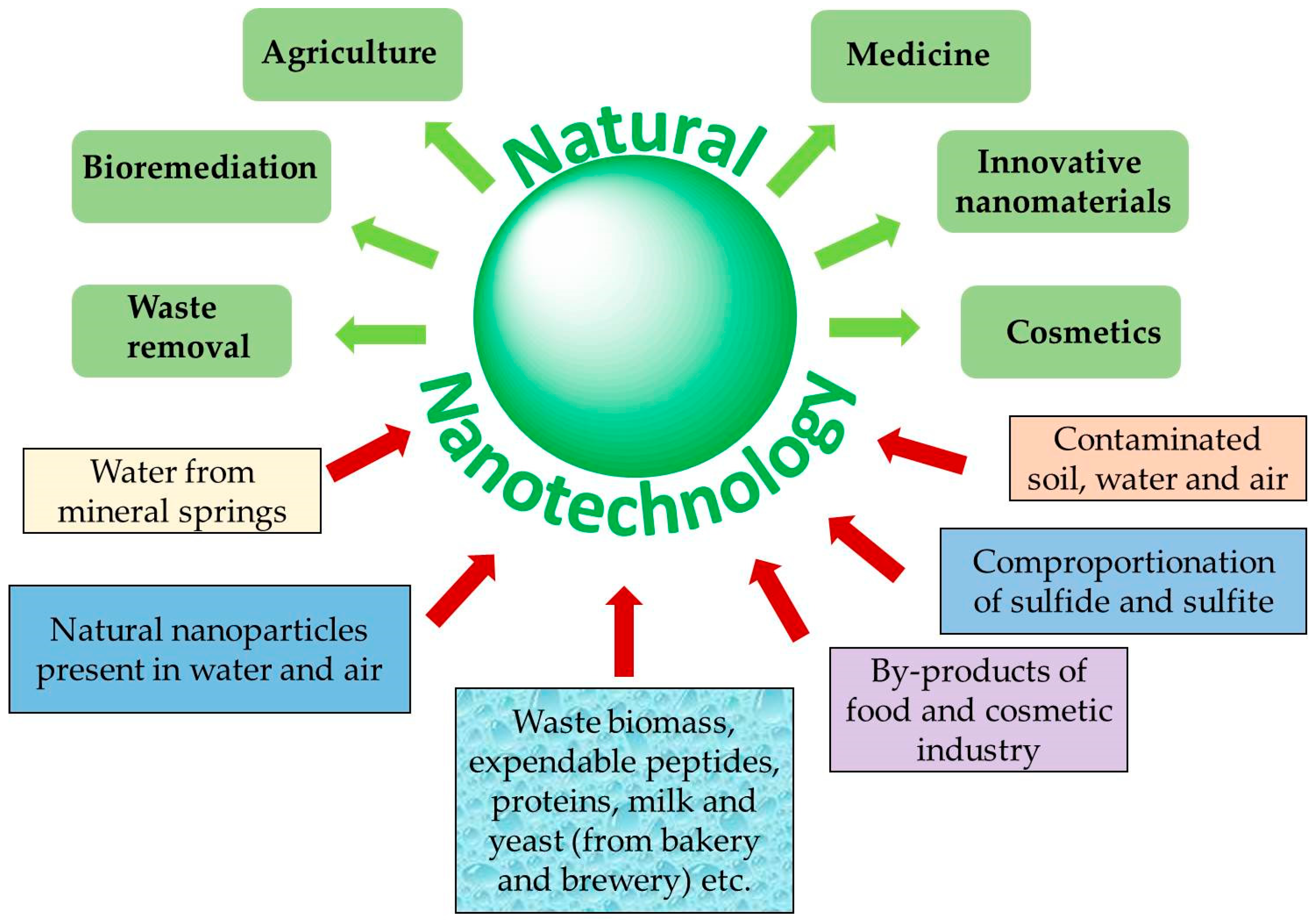 Antioxidants 07 00003 g008