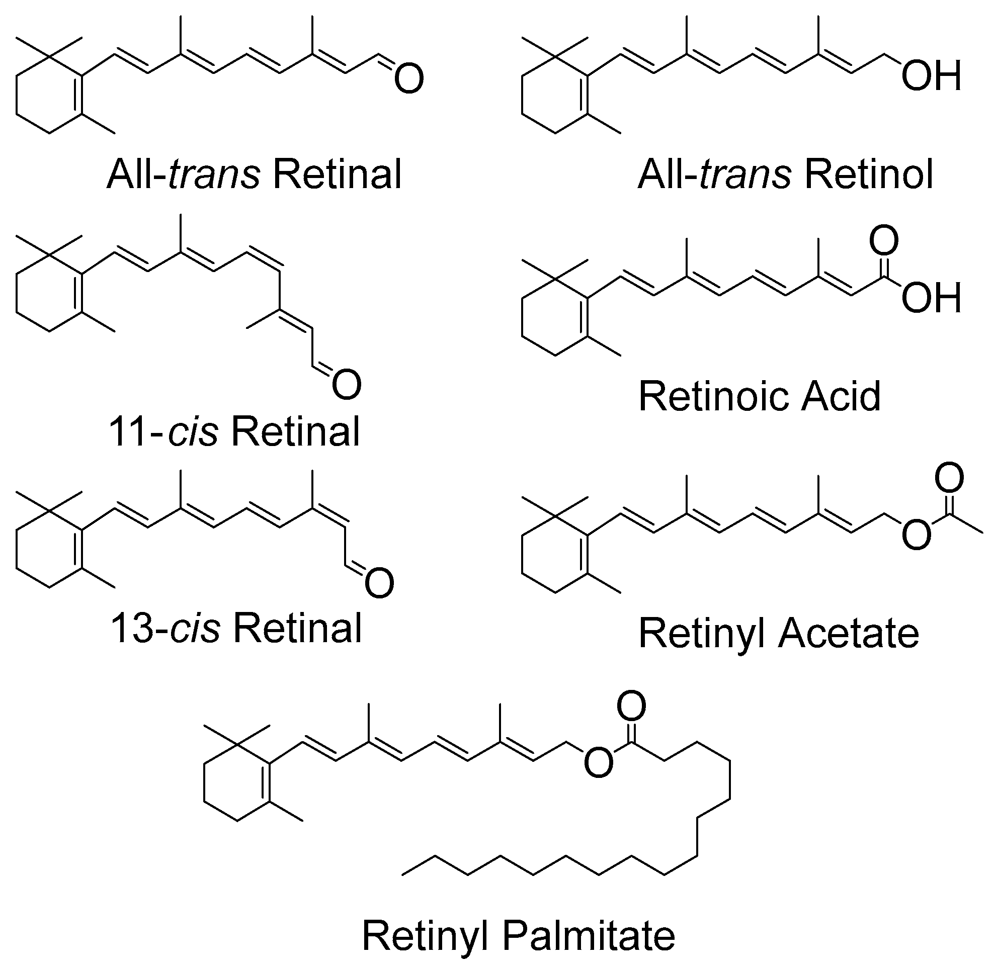 Antioxidants 07 00005 g001